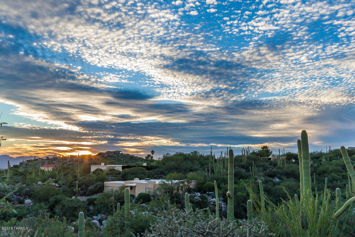 Coronado Foothills Estates - Land