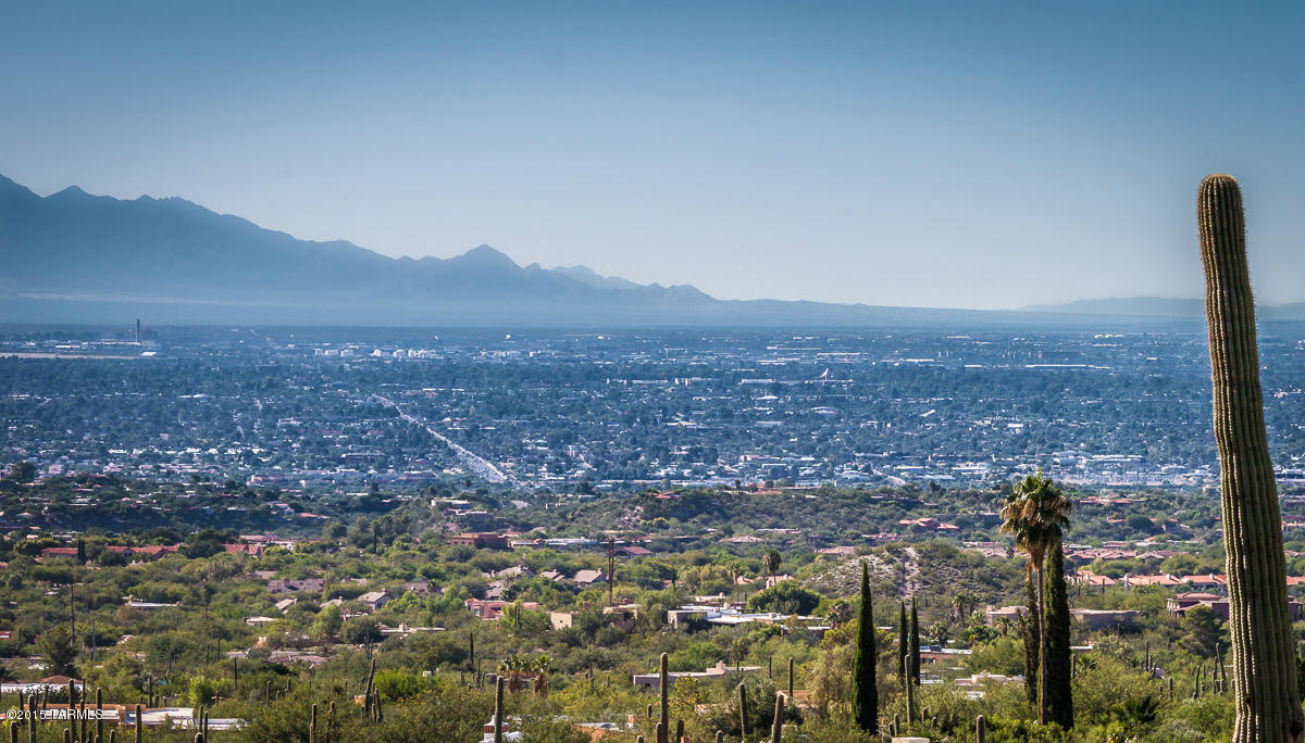 Coronado Foothills Estates - Land