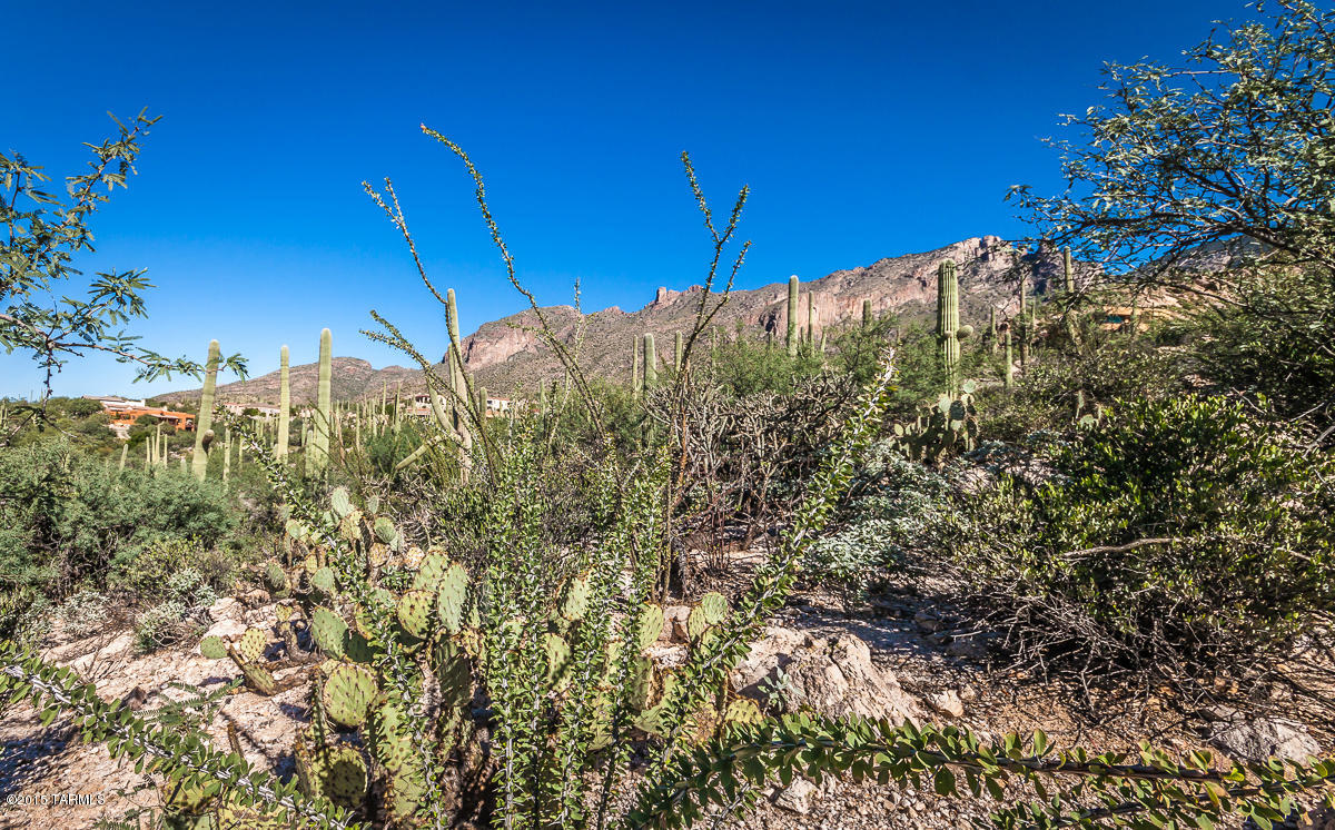 Coronado Foothills Estates - Land