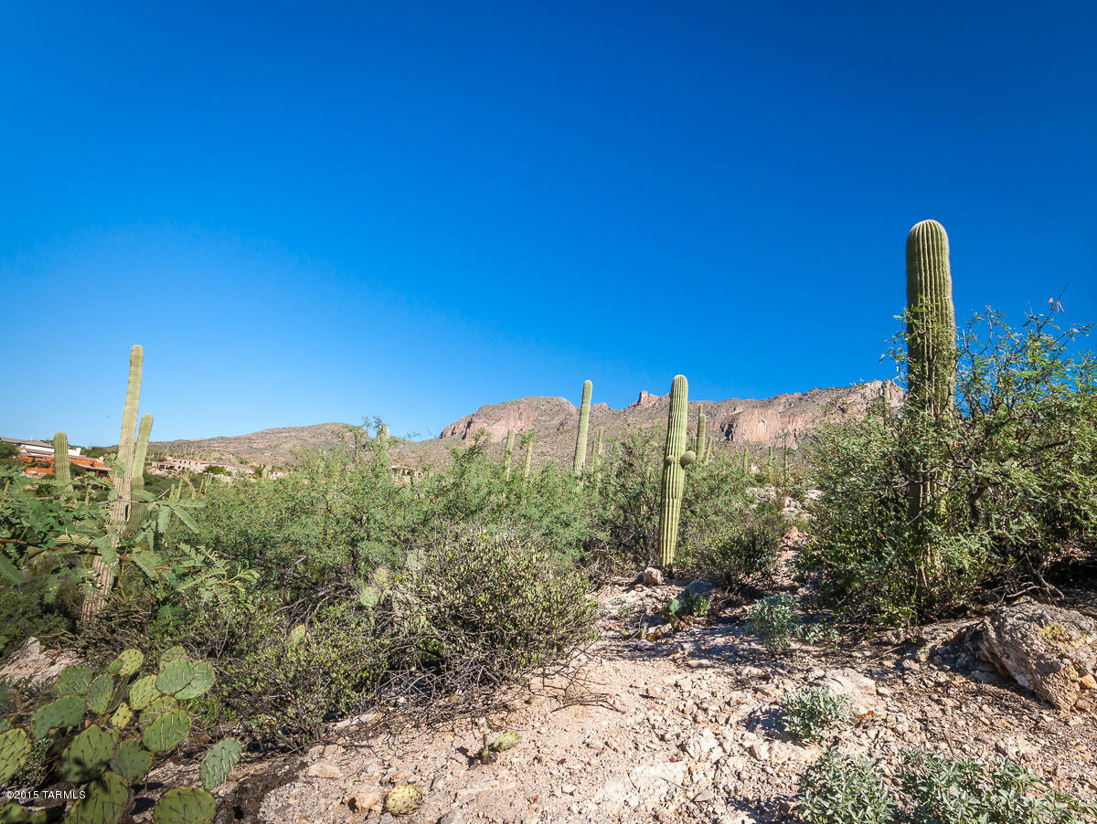 Coronado Foothills Estates - Land