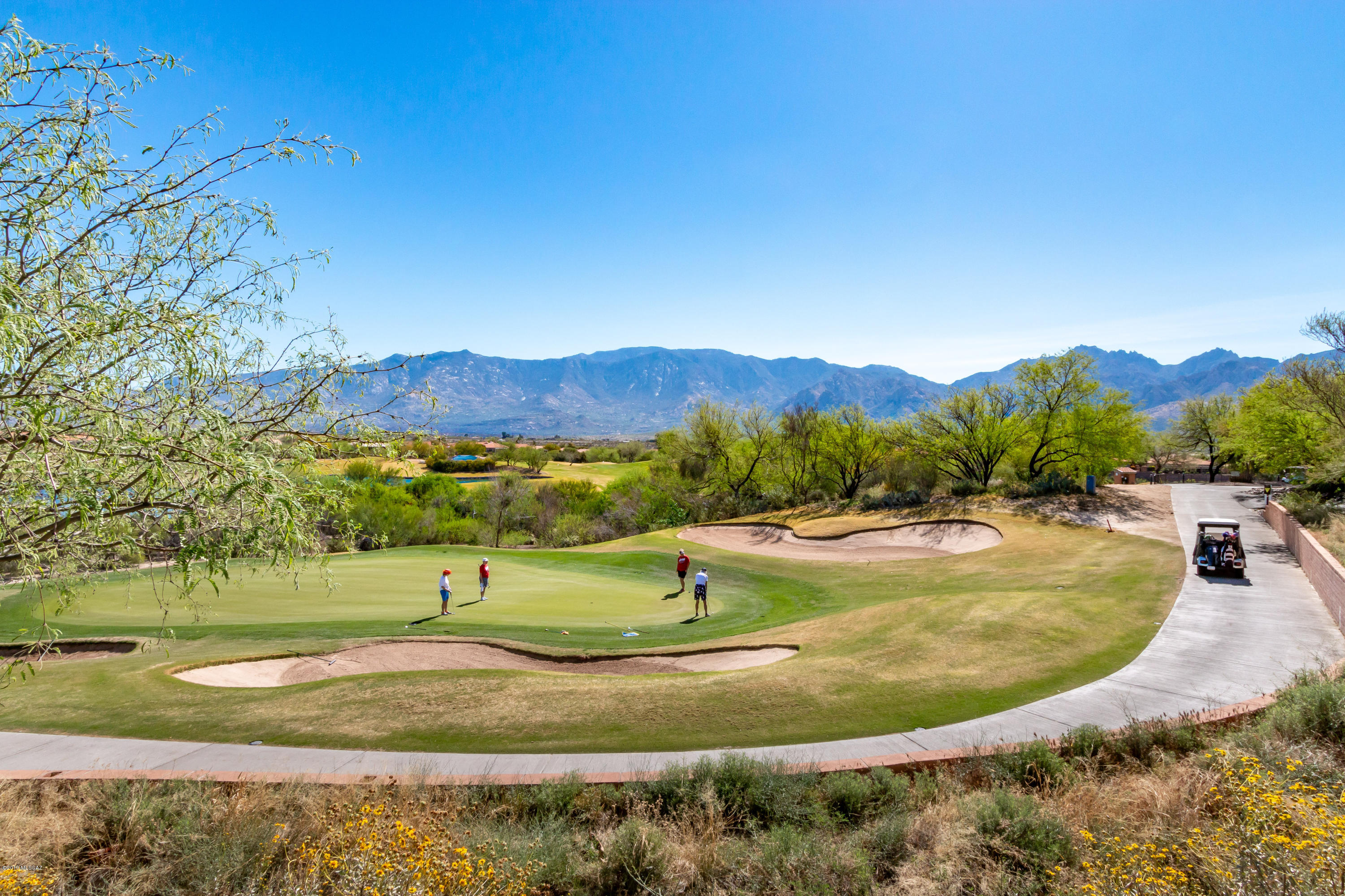 Sun City Vistoso Unit 3(1-193) - Residential
