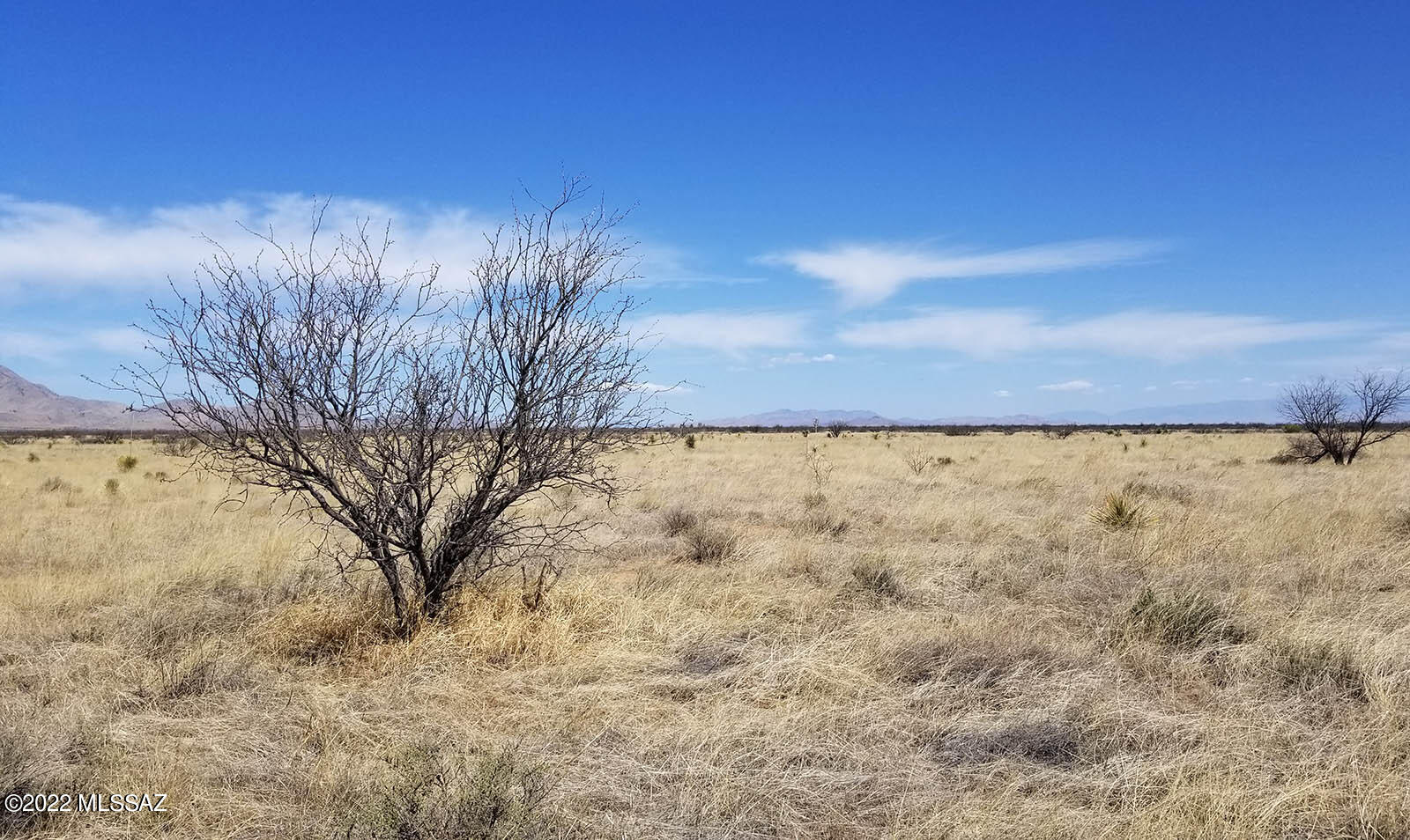 Arizona Sun Sites - Land