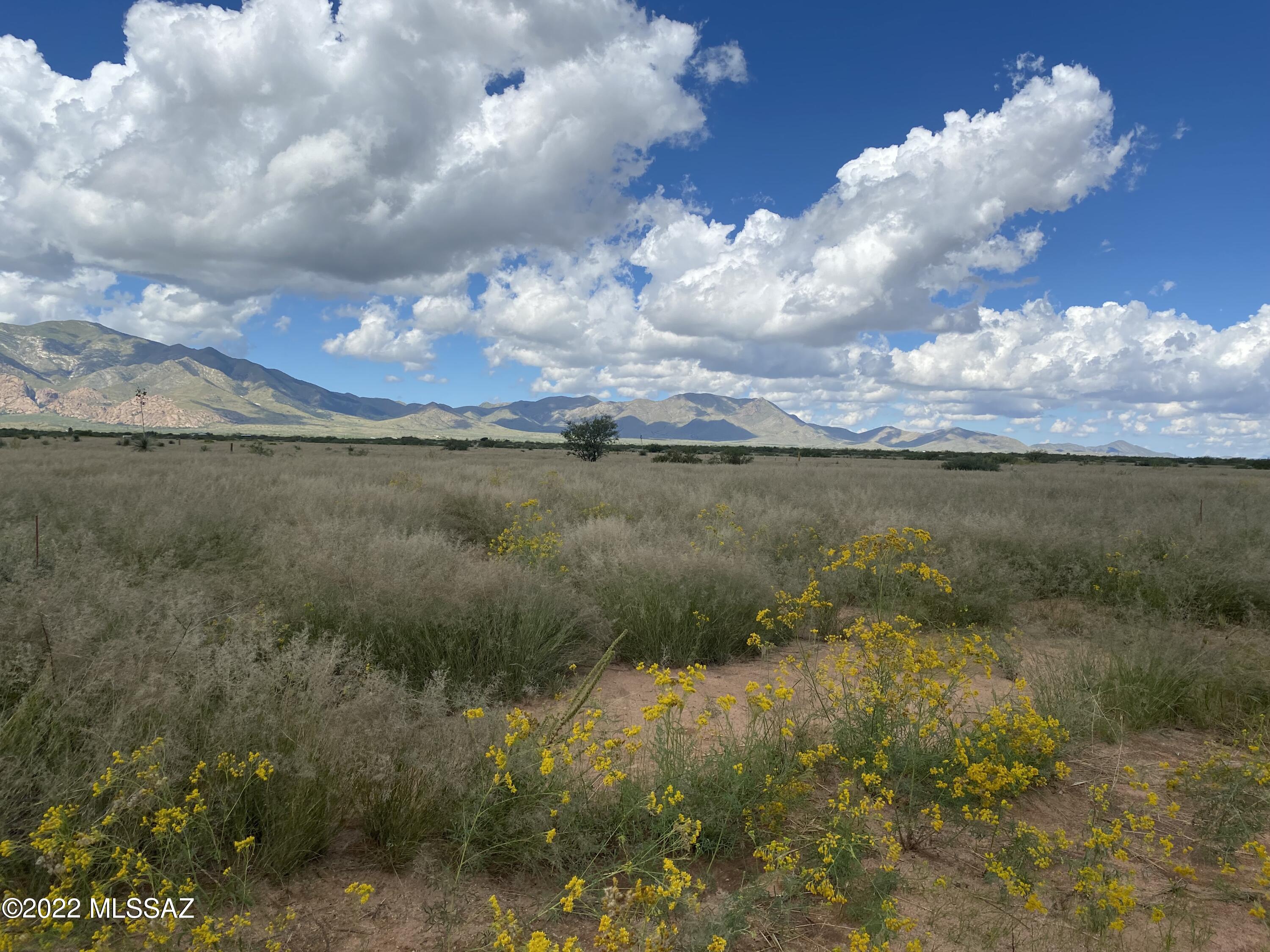 Arizona Sun Sites - Land