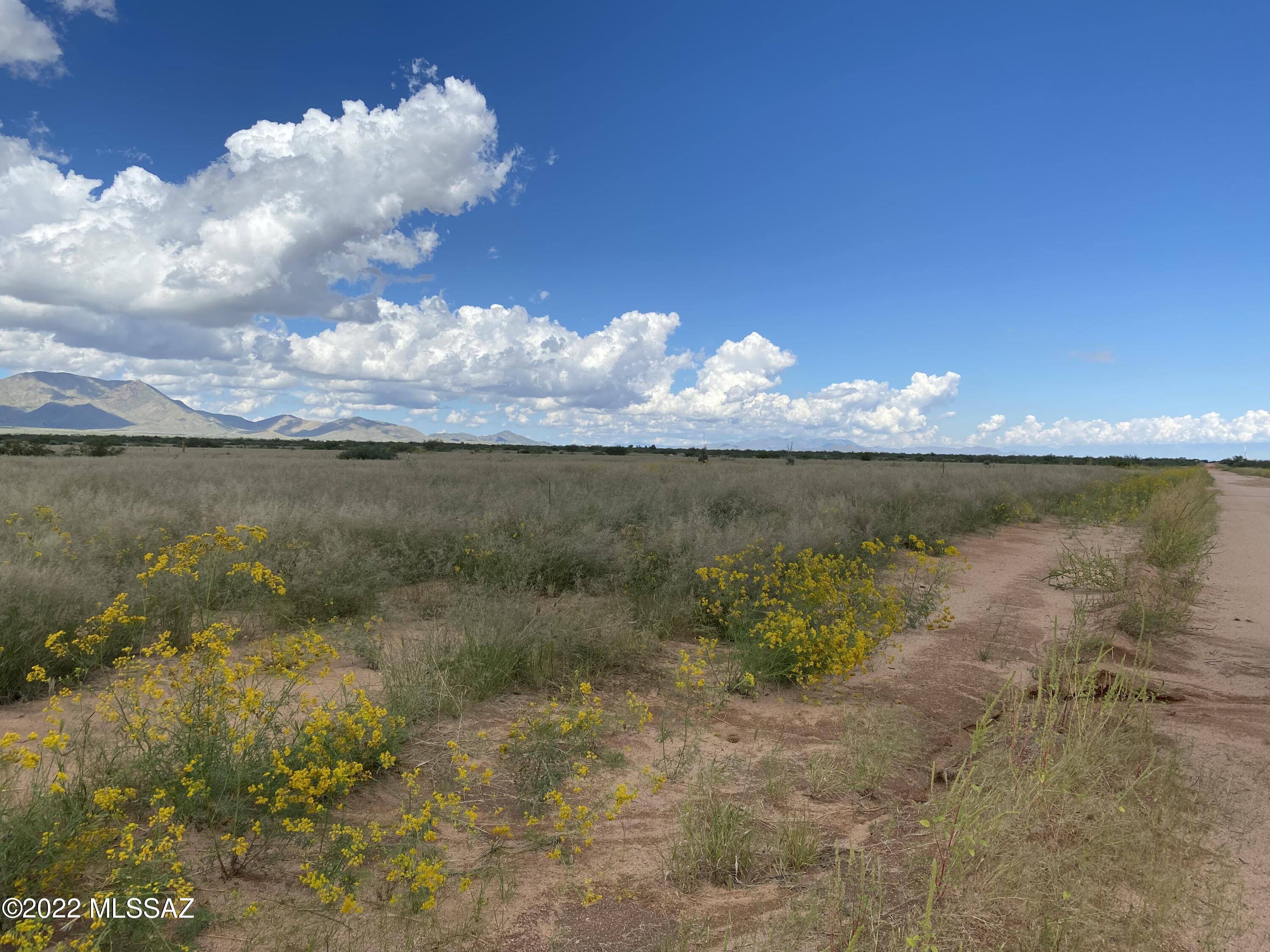 Arizona Sun Sites - Land