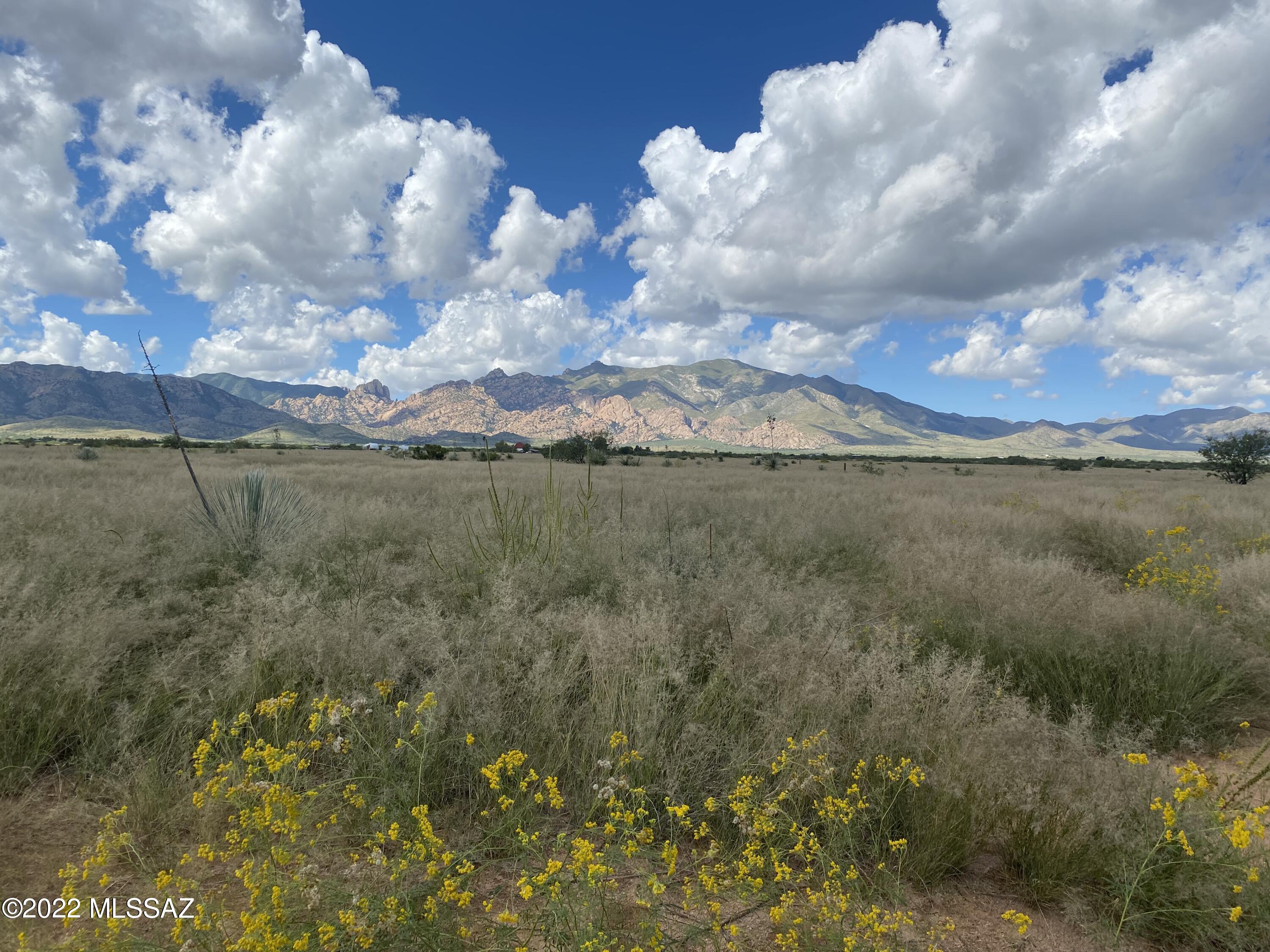 Prime 3.25 ACRES in contiguous lots located on the corner of county-maintained Desert Rd. and York St. Just 1/2 mile from paved Ironwood Rd. Gorgeous views of the Dragoon Mountains. Excellent access from two sides. Quiet and secluded location to build your country dream home! Pearce is located between the Cochise Stronghold, and the Chiricahua National Monument. The winter Sandhill Crane refuge of Whitewater Draw, making it popular for birders, history buffs, hikers, and climbers alike. These lots are at 4,600 feet in elevation; the area is also known for its milder summers which make it ideal for quality grapes and vineyards. Escape the chaos of the city and stake your claim in the tranquility of the high desert. More...