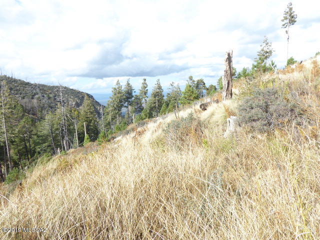 5 lots being sold together totaling 24,424 sq-ft. Backs up onto Forest Service so there is plenty of privacy. Has its own paved private drive with year around access! Septic information is unknown. Beautiful views from all sides of the lot.