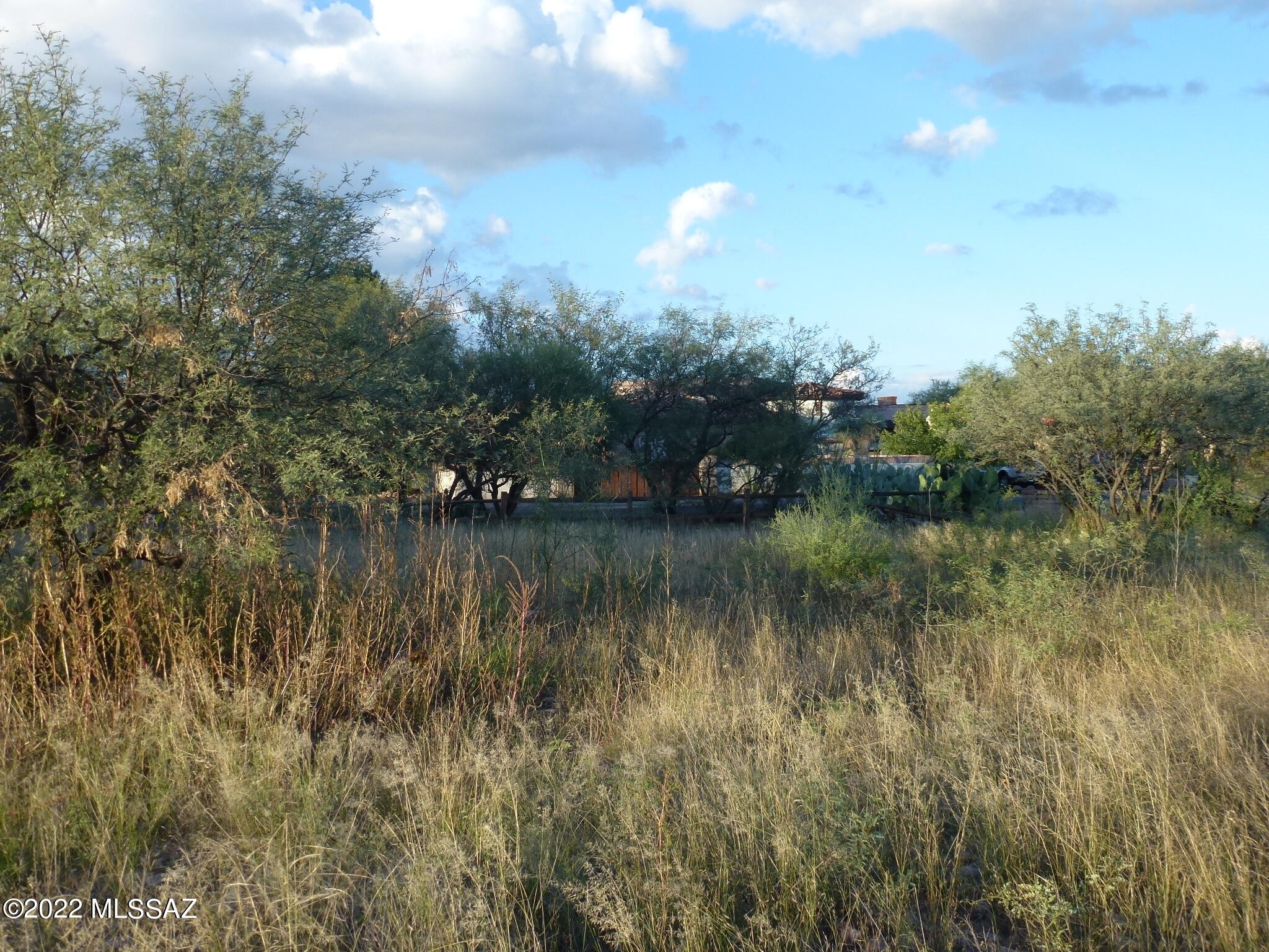 Tubac Golf Resort Development - Land