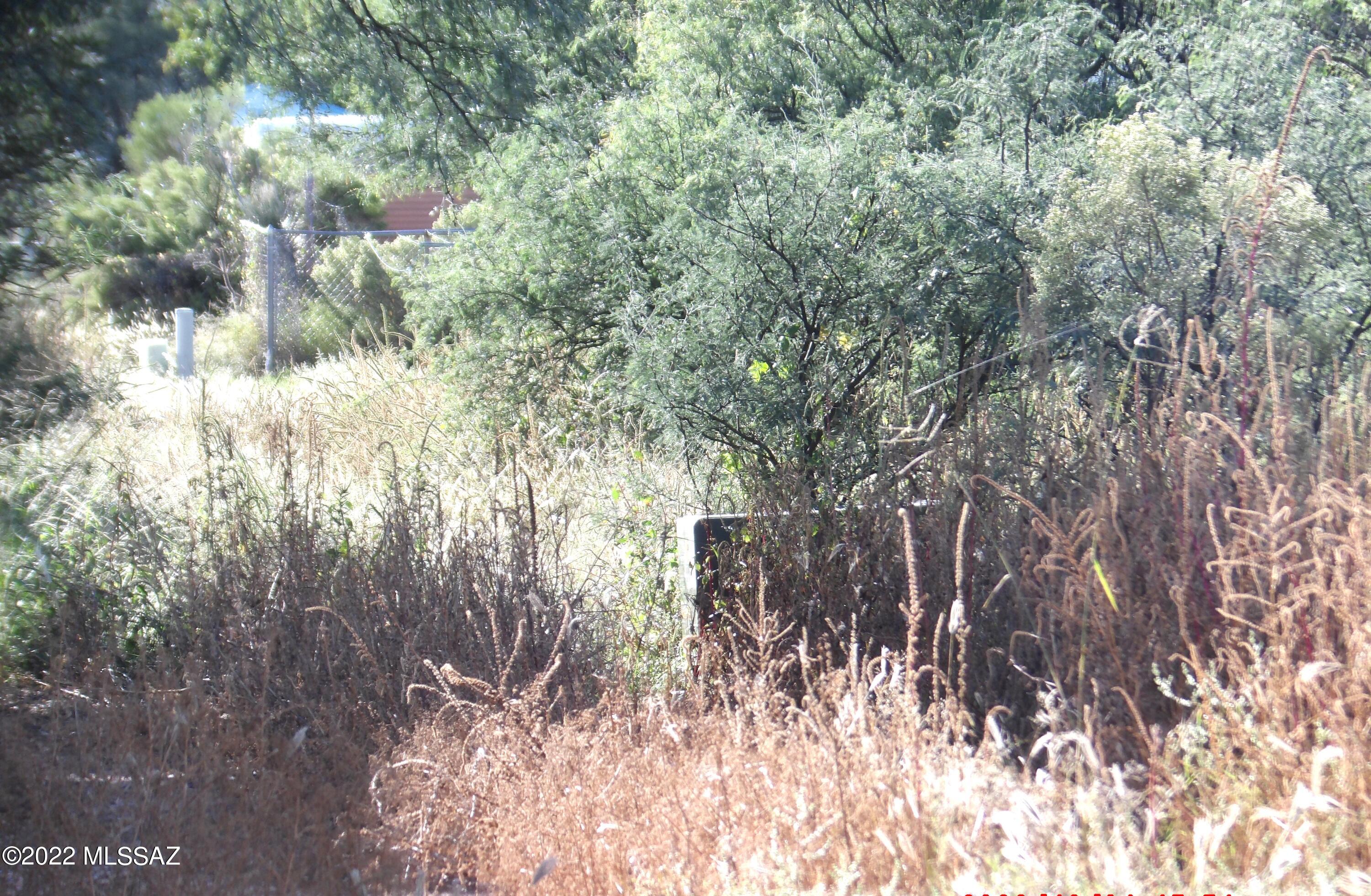 Willow Lakes - Land