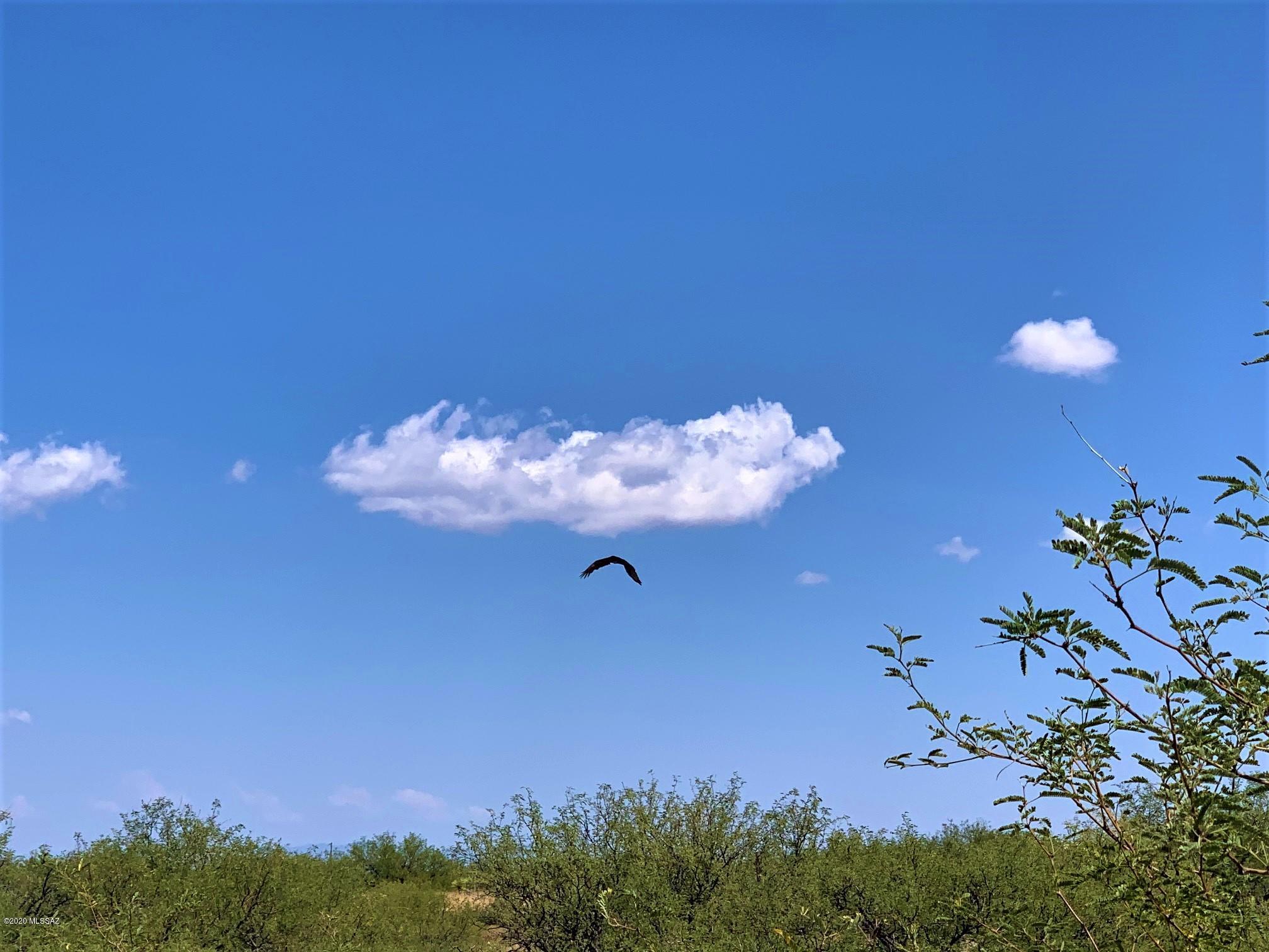 Red Hawk at J-6 Ranch - Land
