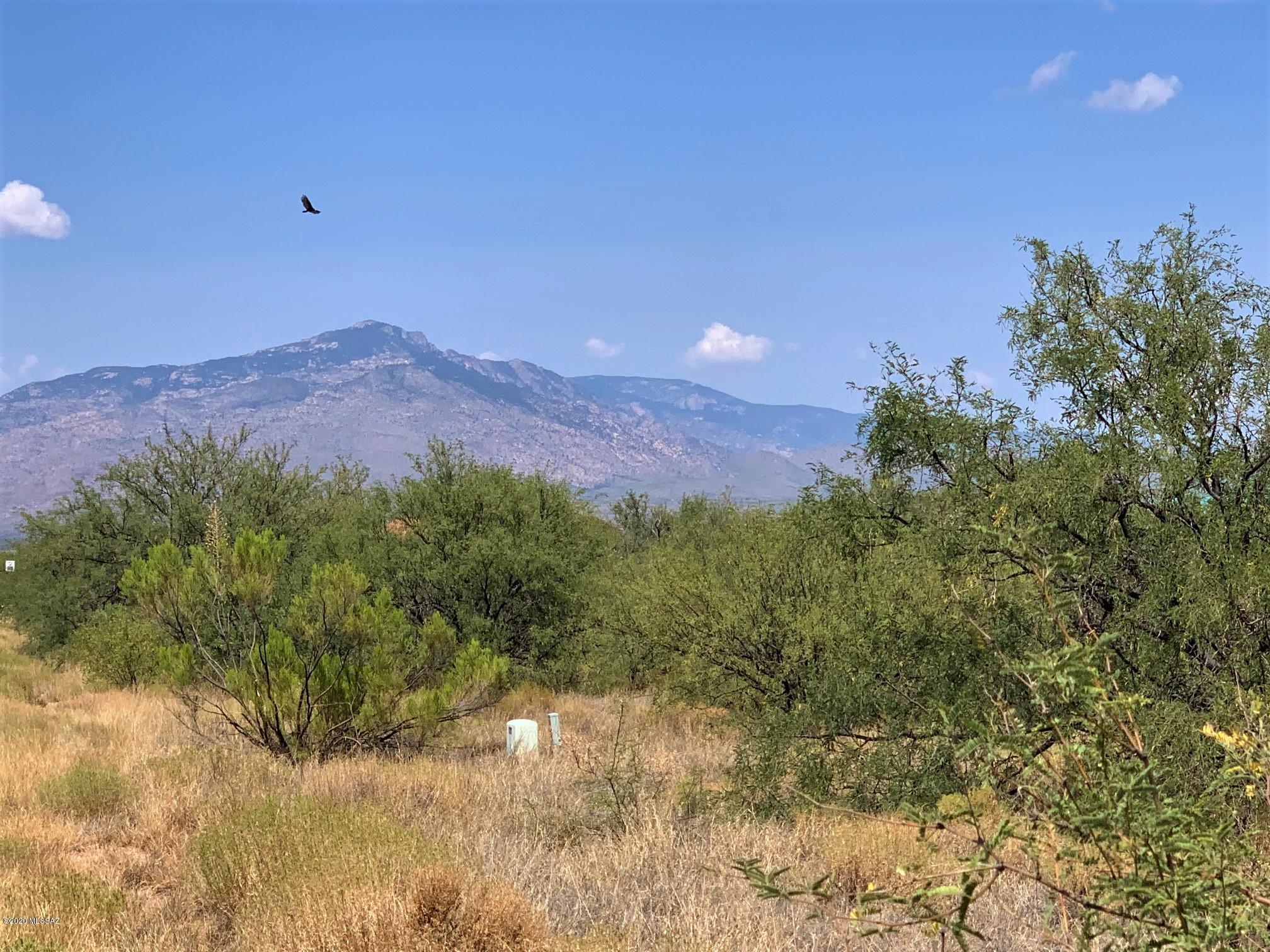Red Hawk at J-6 Ranch - Land