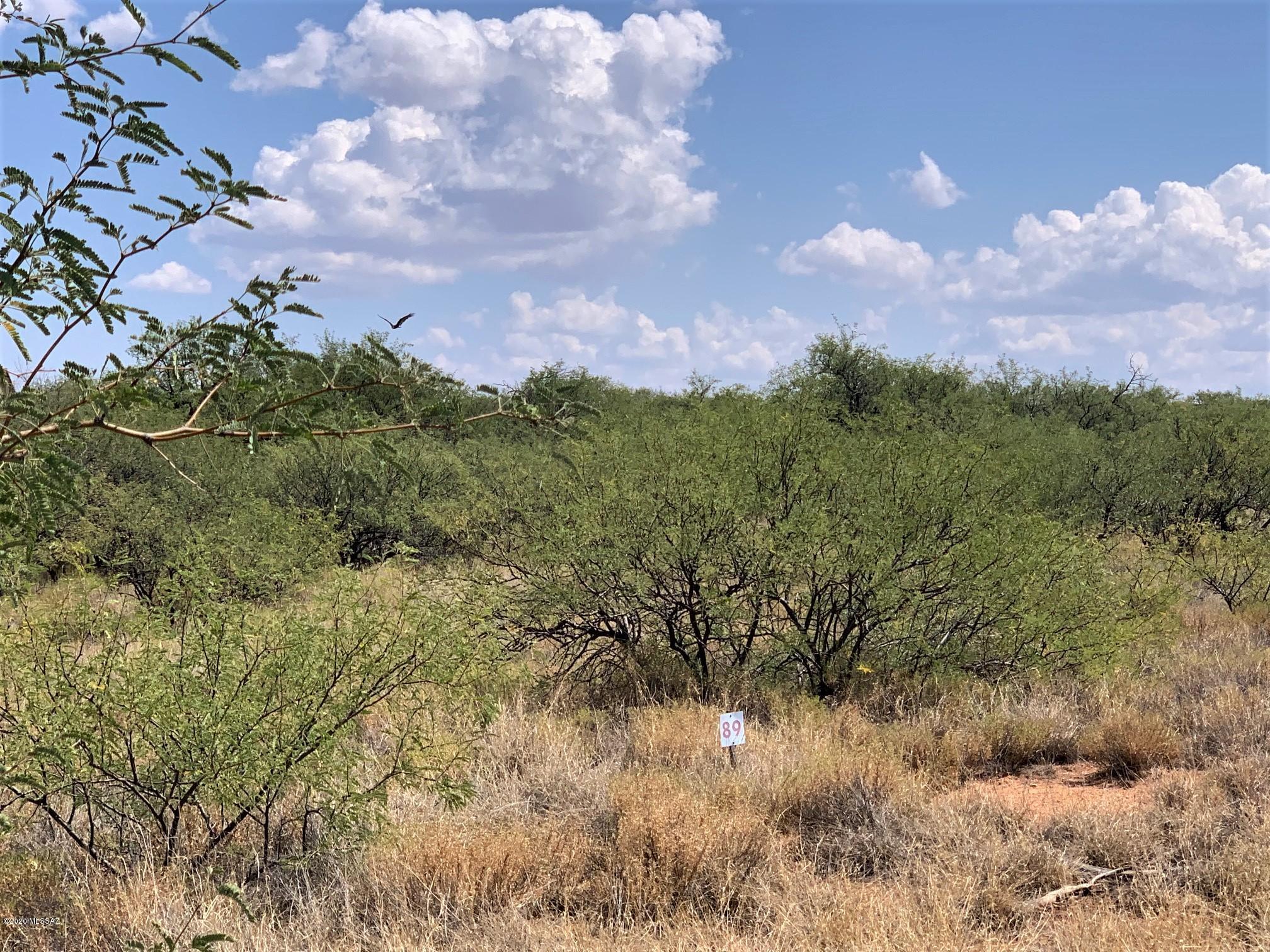 3 acre lot located in the upscale Red Hawk at J-Six Subdivision. Arguably one of the most beautiful areas in Cochise County at the base of the Whetstone Mountains. Nice views of the nearby Whetstones to the south and the Rincon Mountains to the north. The location is top notch with an easy 30 minute drive to Tucson, Sierra Vista or Ft. Huachuca. Benson is a short 10 minute drive east on I-10 for schools, shopping and medical services. The gently rolling lot is covered with natural grass land and mesquites. A great place to build your dream home. Site built homes only. Manufactured Homes are not allowed.