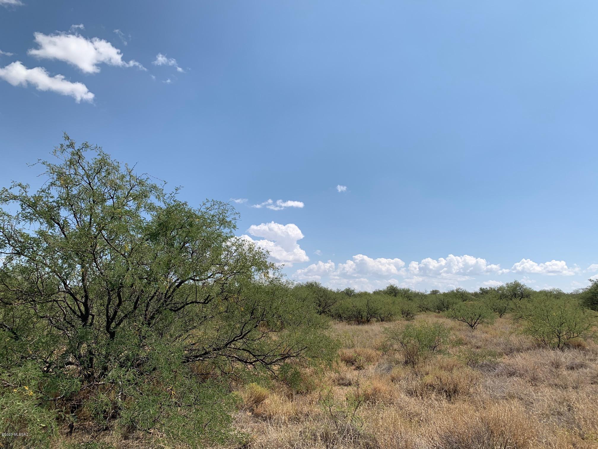 Red Hawk at J-6 Ranch - Land