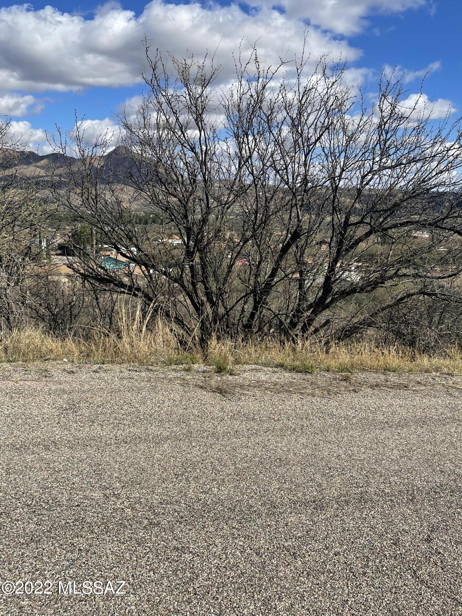 Rio Rico Estates 9 - Land