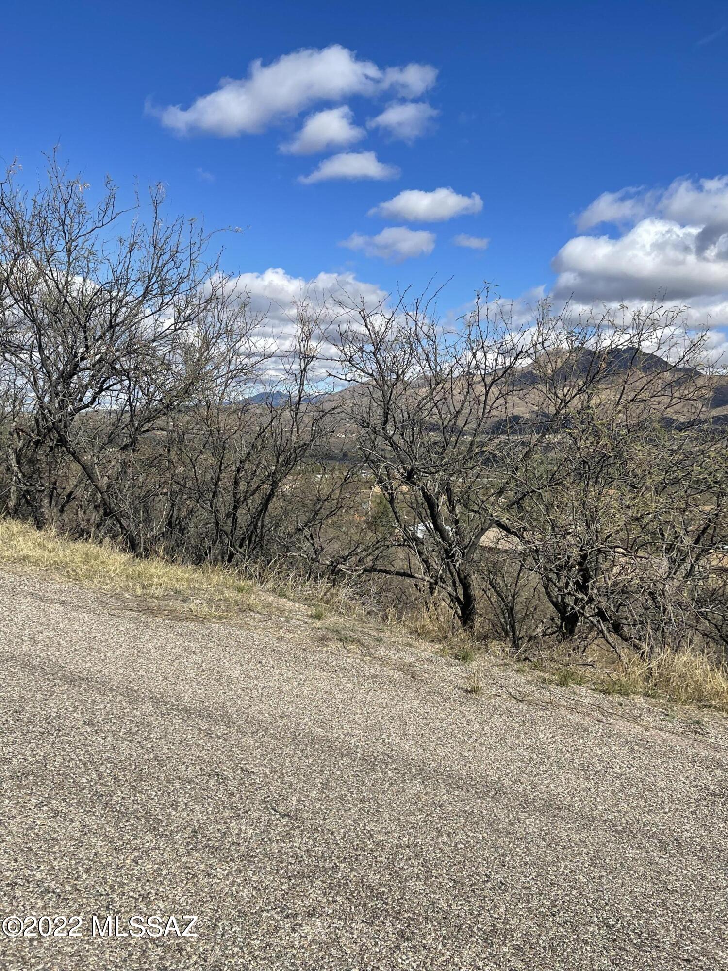 Rio Rico Estates 9 - Land