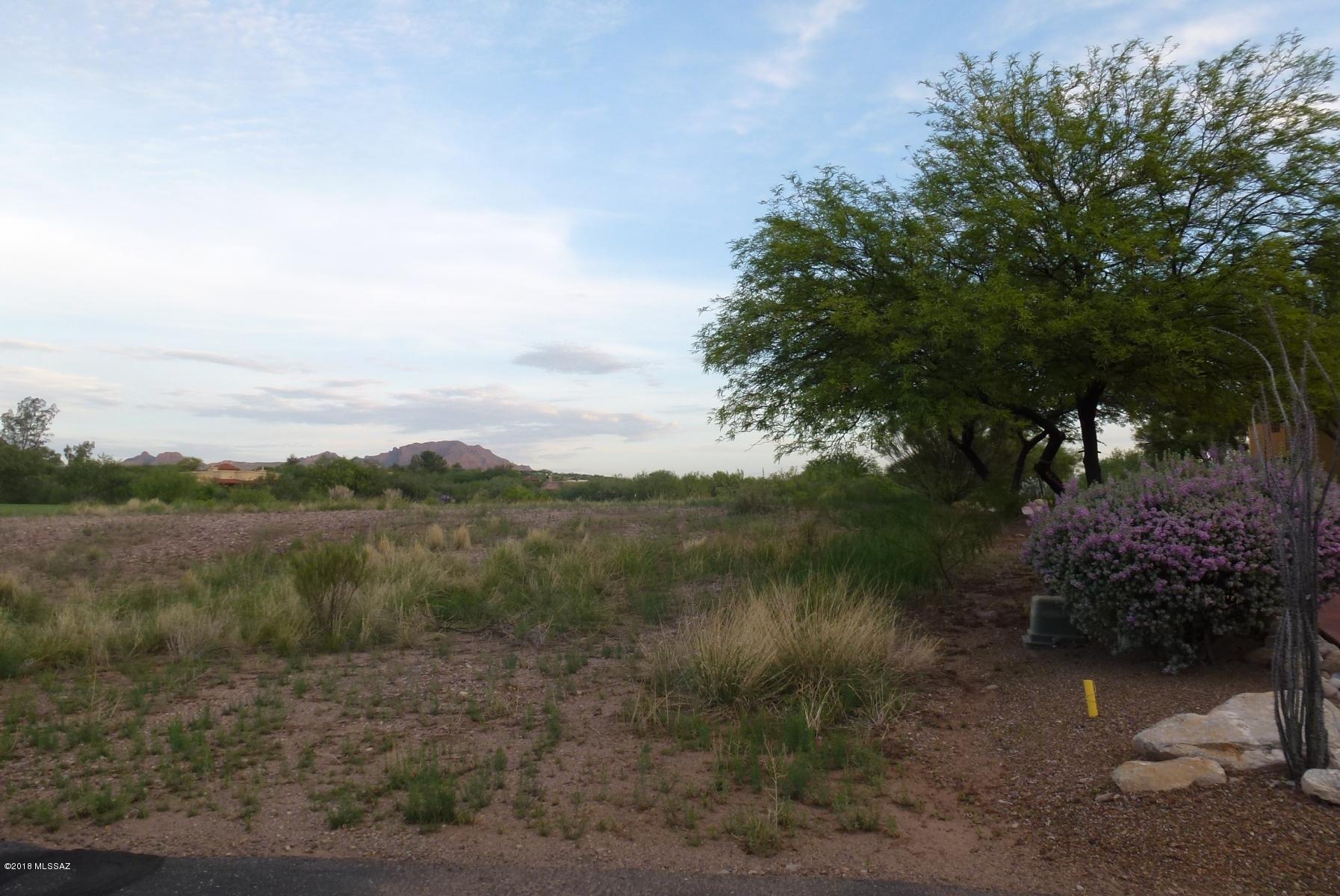 Tubac Golf Resort Development (approx 1/2 acre) lot surrounding the Anza Golf Course of the Tubac Golf Resort. Views, paved streets and utilities (Epcor water, sewer, electric, natural gas, phone) to lot line. See plat in photos and documents for lot location. Tubac Golf Resort golf or social membership initiation fee included with purchase.