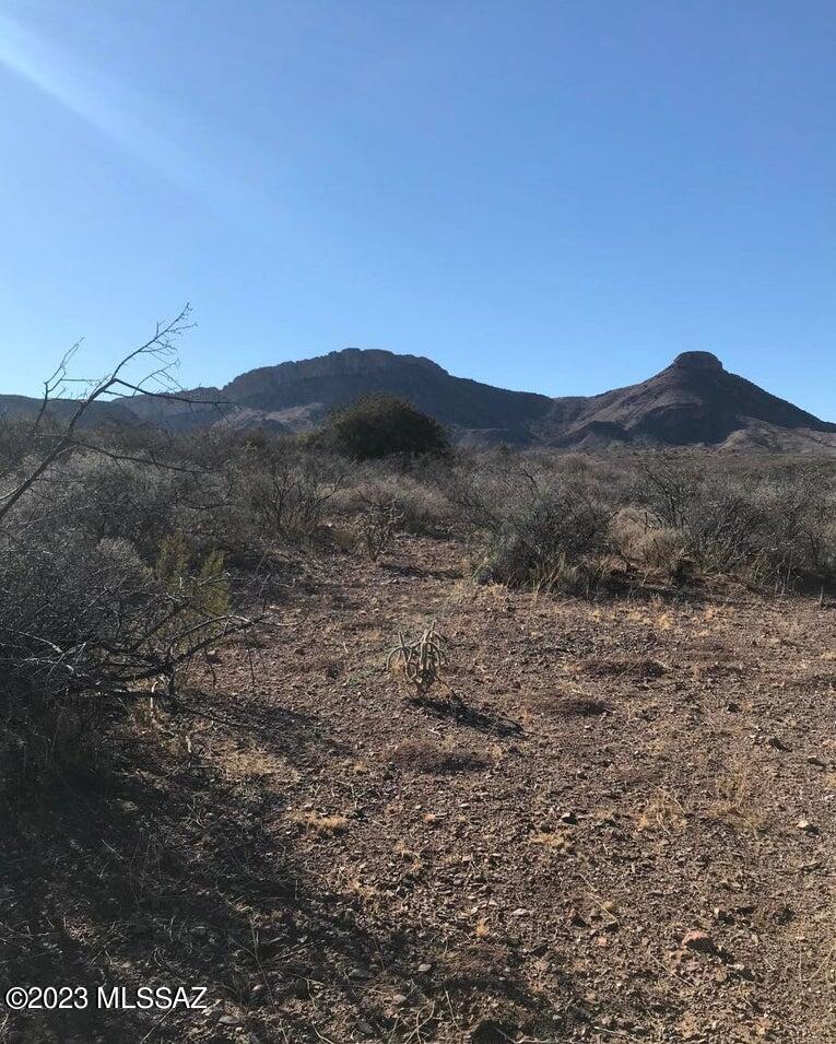 Calling Investors & Home Builders! This dividable 40 acre parcel is nestled just outside Douglas with rolling hills, panoramic and mountain views, and horses are welcome. Zoned for all kinds of agriculture, off the grid living, manufactured and site builds allowed. Land is surrounded by multiple mountain ranges, with some utilities just down the street! Come build your dream home, vineyard, pistachio grove, or just divide out the land as an investment.
