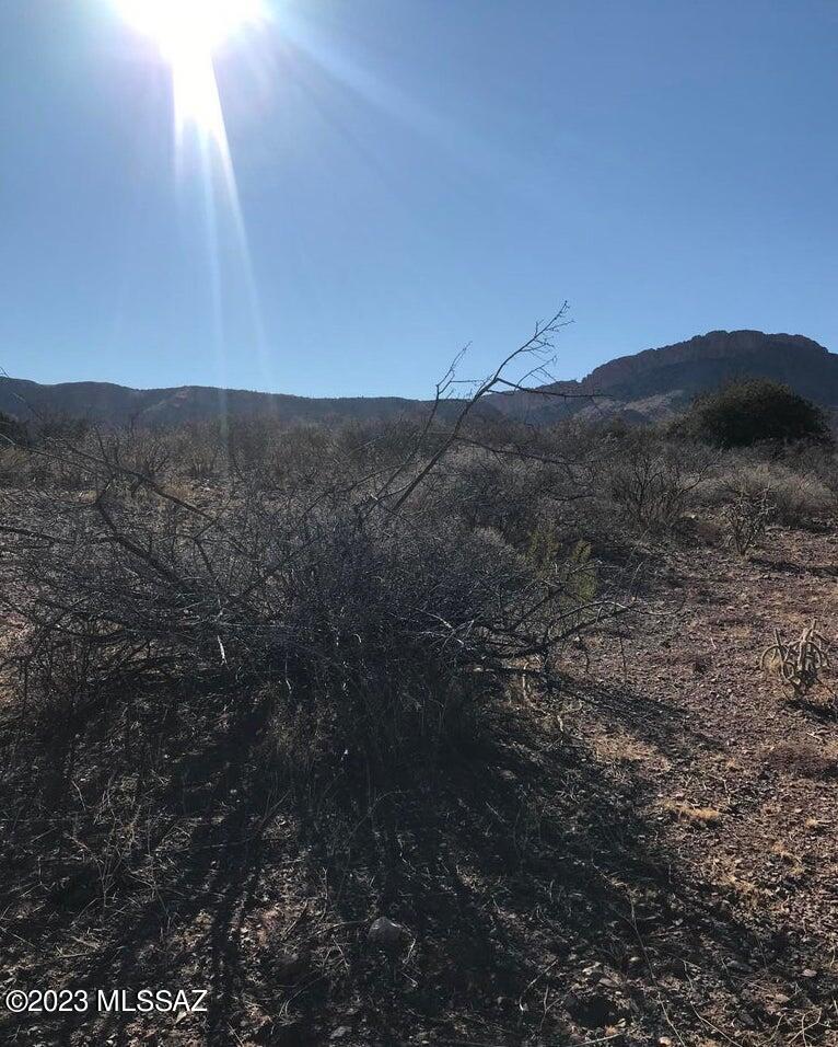 Out Of Pima County - Land