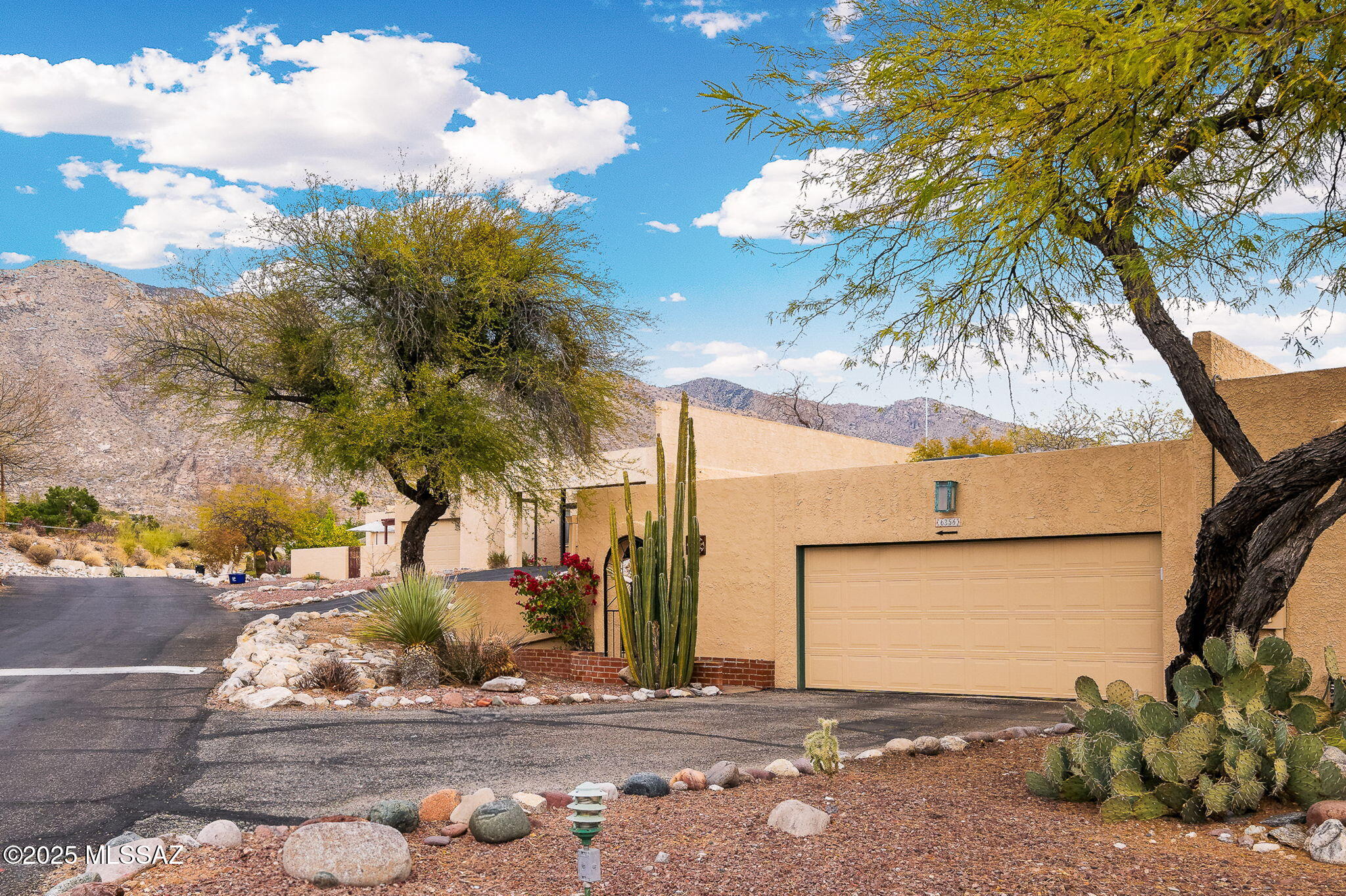Welcome to your dream home, a desert oasis! Perfect foothills location! This impeccably upgraded home offers the perfect blend of modern luxury & natural charm. Featuring a flexible 3-bedroom, 2-bathroom split-plan layout (3rd room is a great den) &  beautiful wood-style luxury vinyl plank flooring throughout—no carpet in sight! Heart of home is the stunningly remodeled kitchen, complete with quartz countertops, a breakfast bar & ample storage- seamlessly flowing into dining & living areas. Spacious interior boasts tall ceilings that enhance airy, light-filled atmosphere. Cozy up by large beehive fireplace on cool desert evenings in the living room. Primary suite is a true retreat with its spaciousness & updated  ensuite comes with double vanity & a stunning tile shower. SEE MORE TAB... The guest bedroom & second bath offer the same luxurious updates, and the gorgeous den overlooks the beautiful yard with a new large picture window. Step outside to a backyard teeming with vibrant desert vegetation, providing a serene escape and a beautiful backdrop. A nature trail running thru means you may see some desert visitors as well! Out front, a private gated courtyard offers breathtaking mountain views, perfect for enjoying tranquil mornings. Additional features include a water softener and outdoor storage, ensuring convenience and comfort. Don't miss the opportunity to call this exquisite house your home! Close to hiking trails, shopping, restaurants, schools & more. District 16 schools.