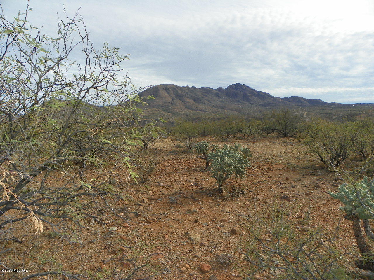Rio Rico Villas 12 - Land