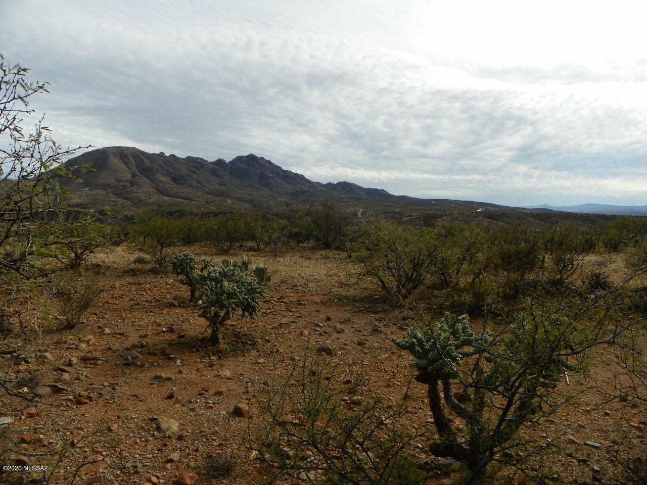 Rio Rico Villas 12 - Land