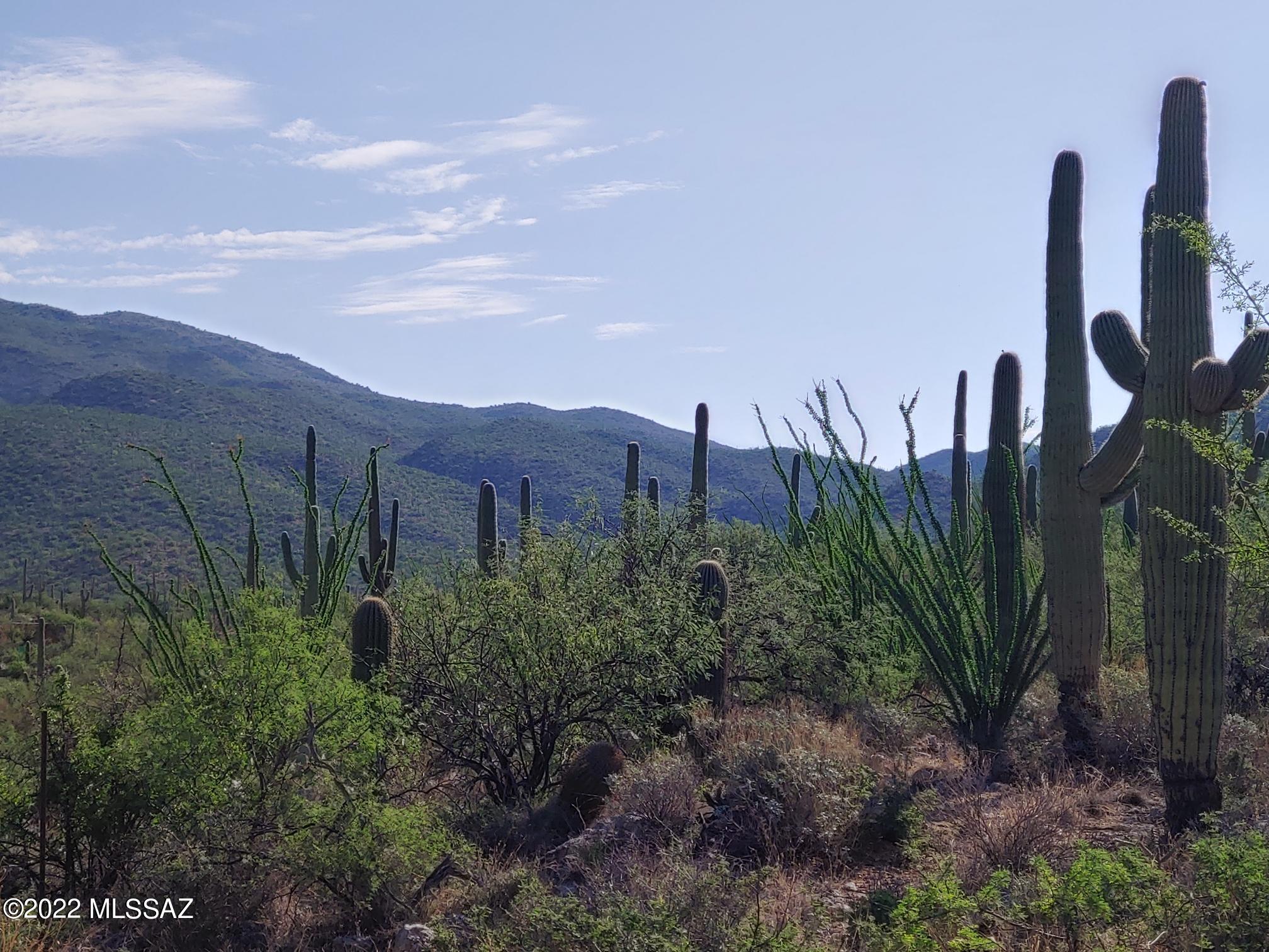 La Cebadilla Estates (1-161) - Land