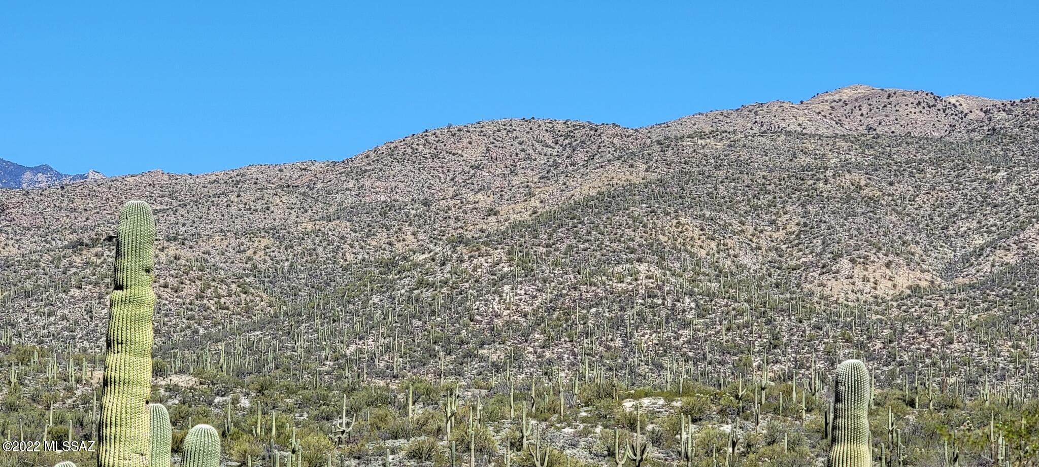 La Cebadilla Estates (1-161) - Land