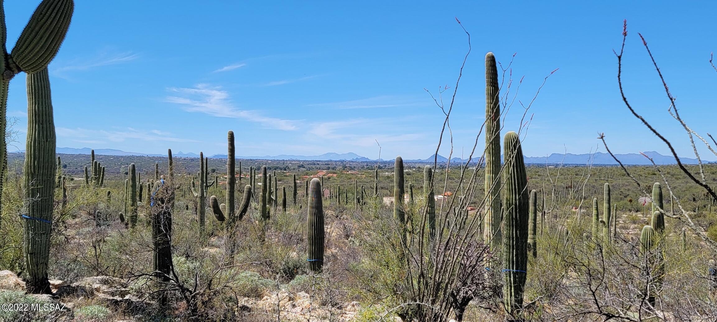 La Cebadilla Estates (1-161) - Land