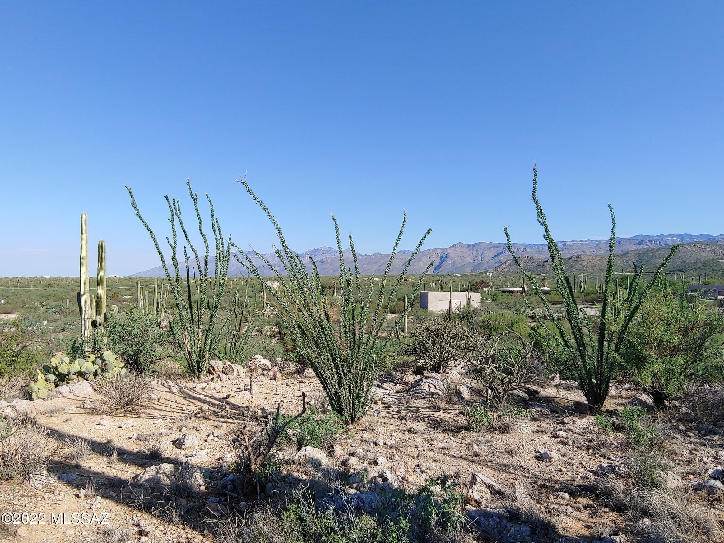 La Cebadilla Estates (1-161) - Land