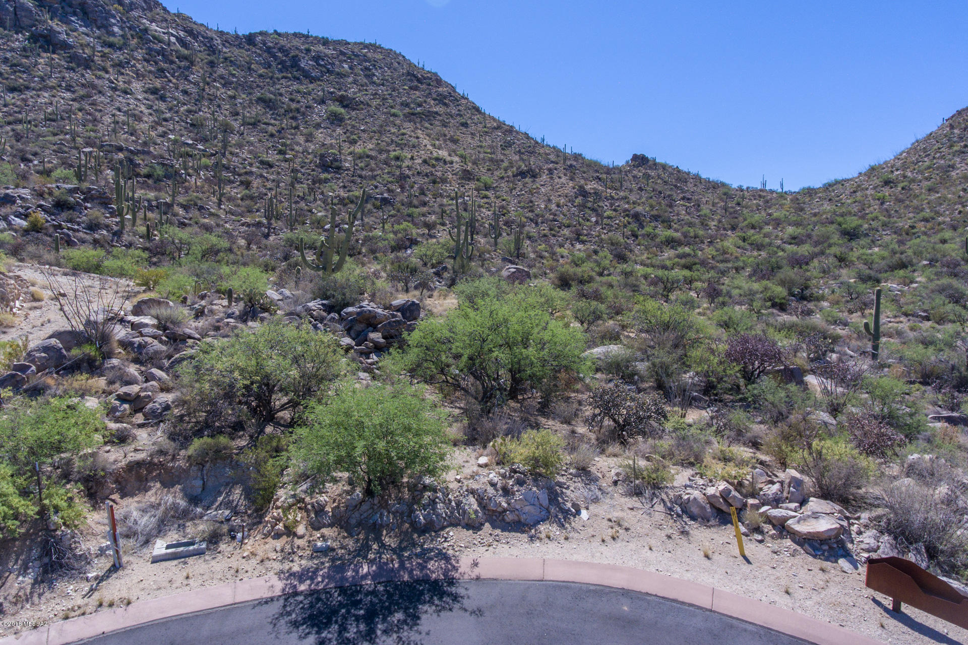 Canyon Pass At Dove Mountain(1-48) - Land