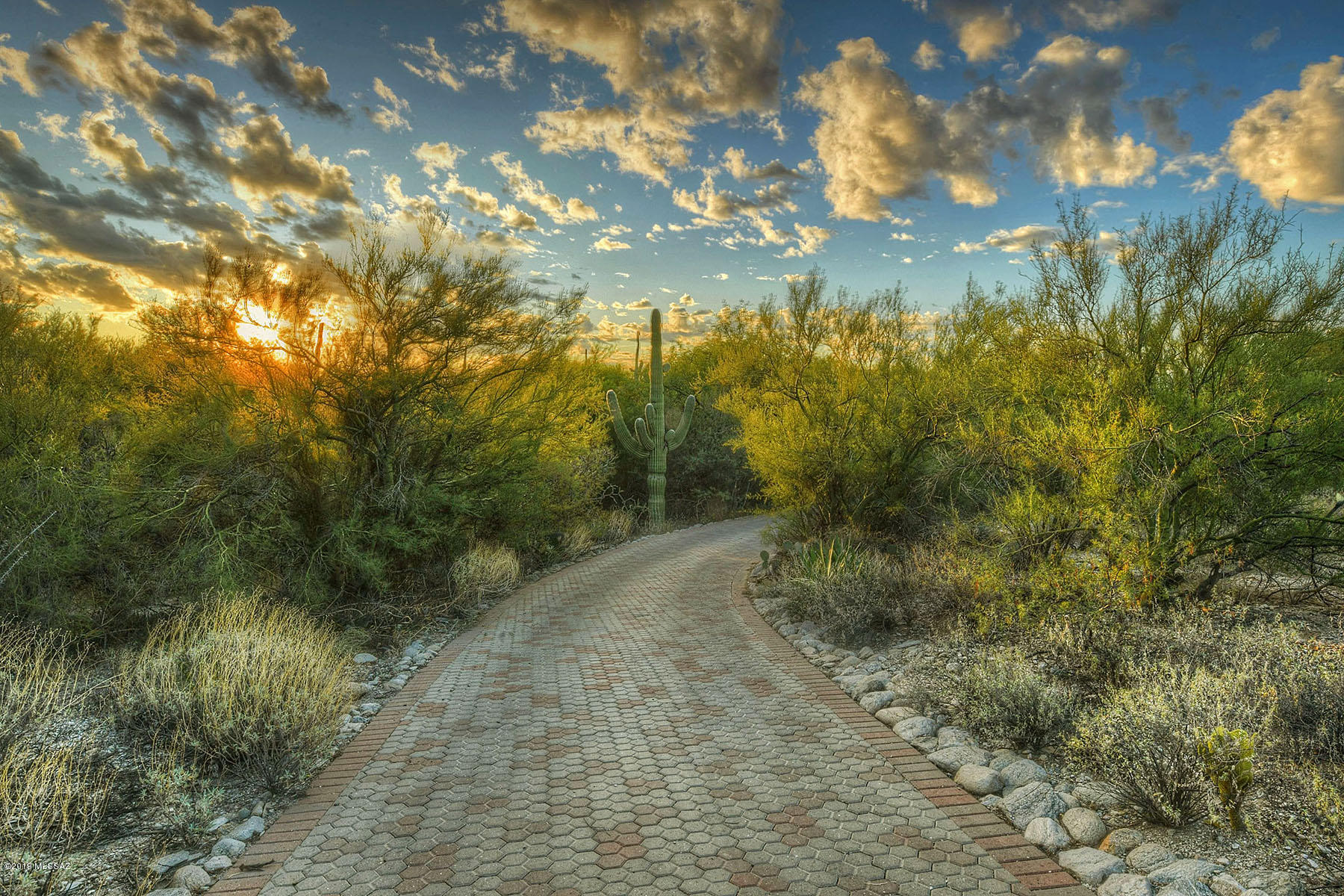 Catalina Foothills Estates NO. 6 (1-54) - Residential