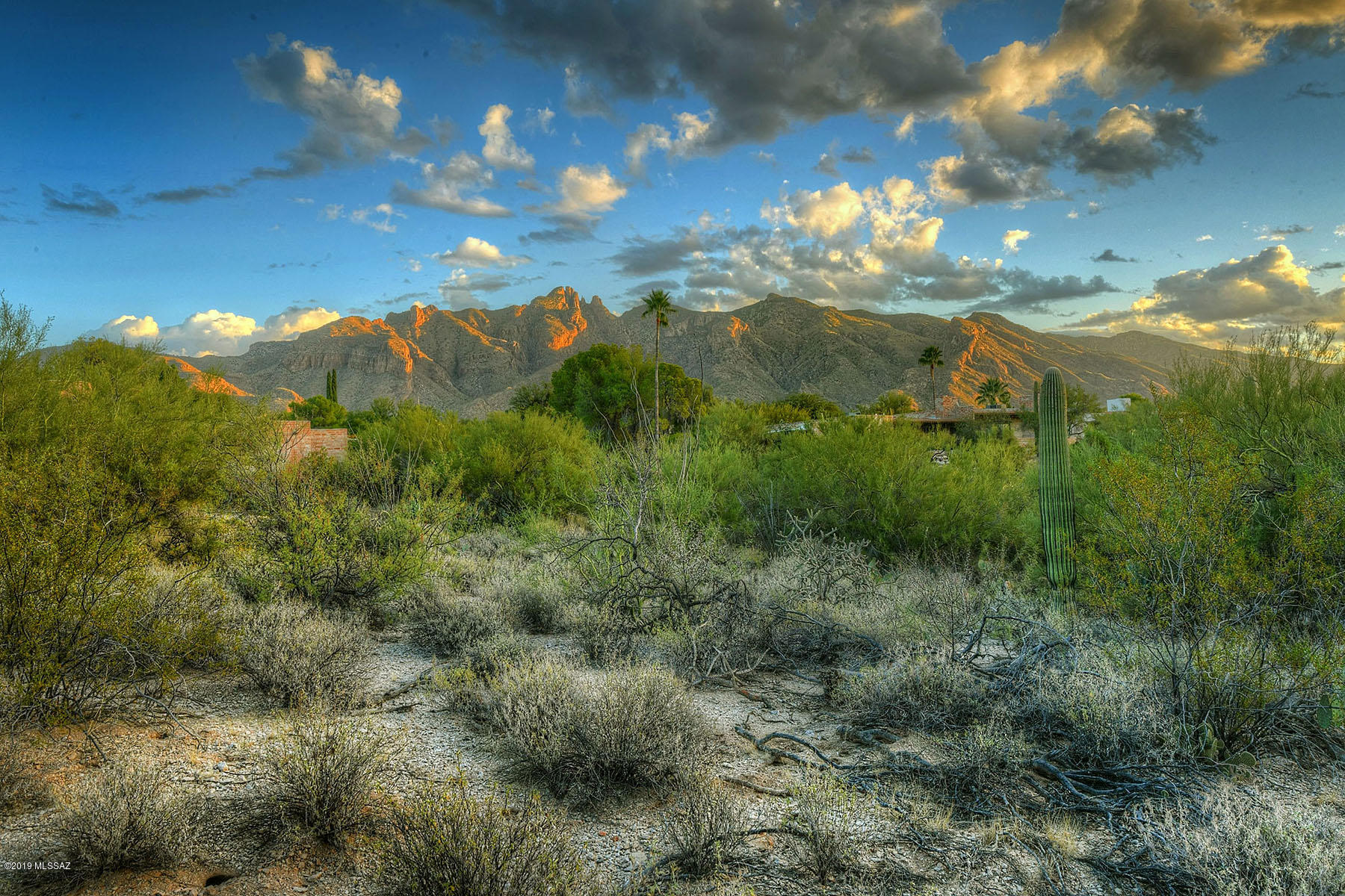 Catalina Foothills Estates NO. 6 (1-54) - Residential