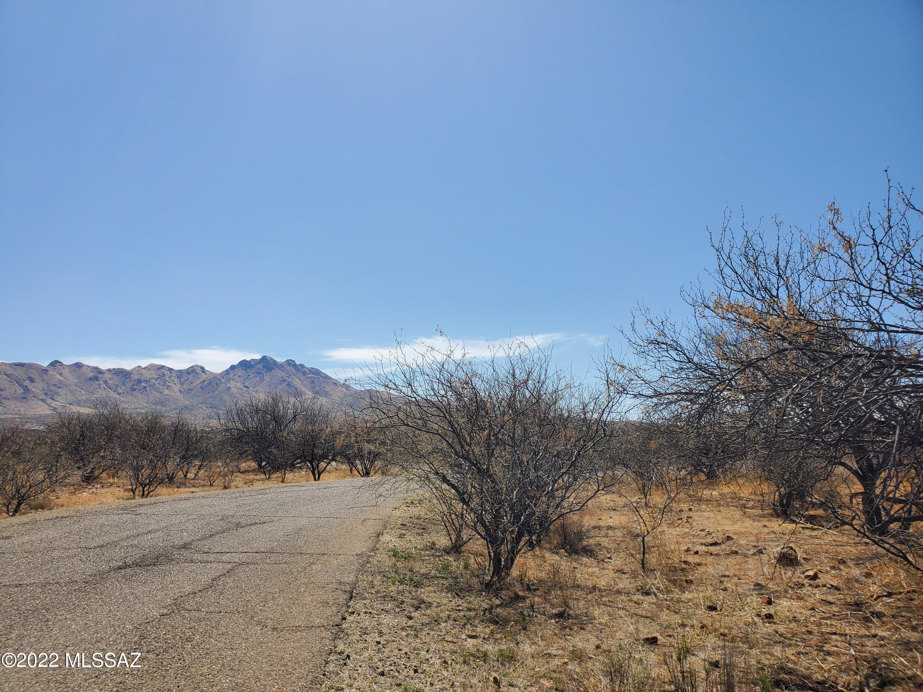 Rio Rico Estates 16 - Land