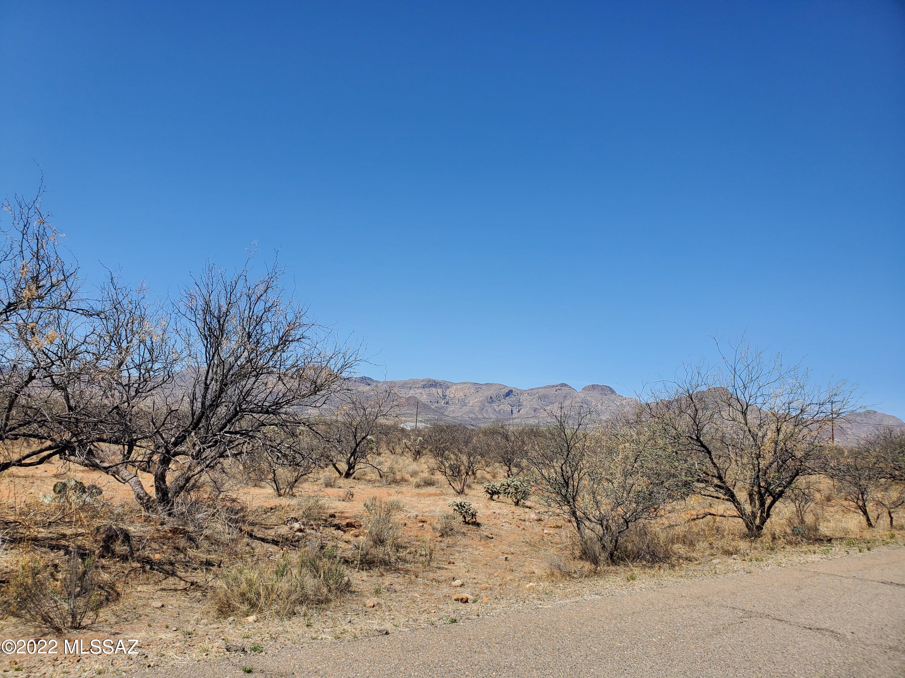 Rio Rico Estates 16 - Land