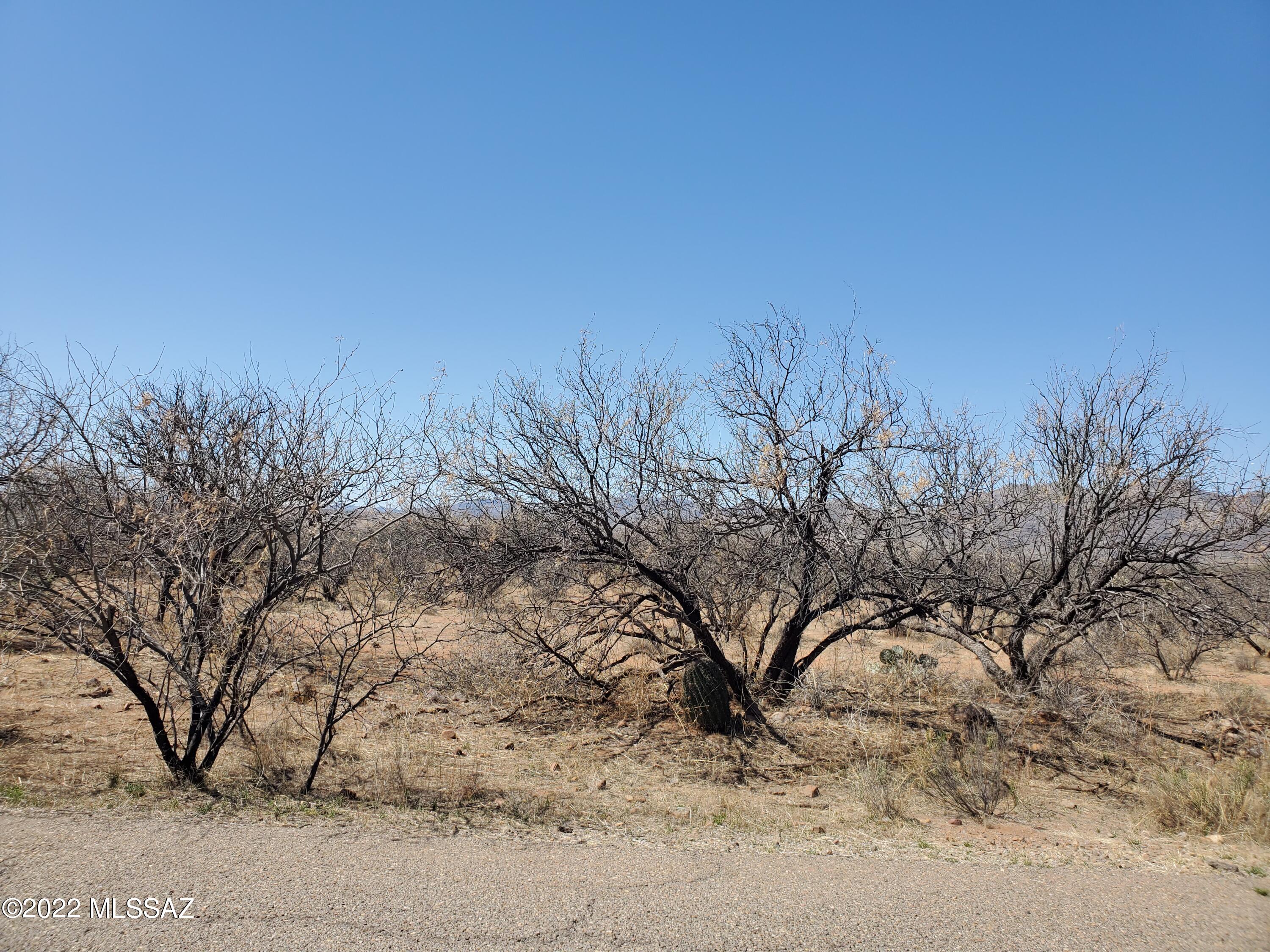 Rio Rico Estates 16 - Land