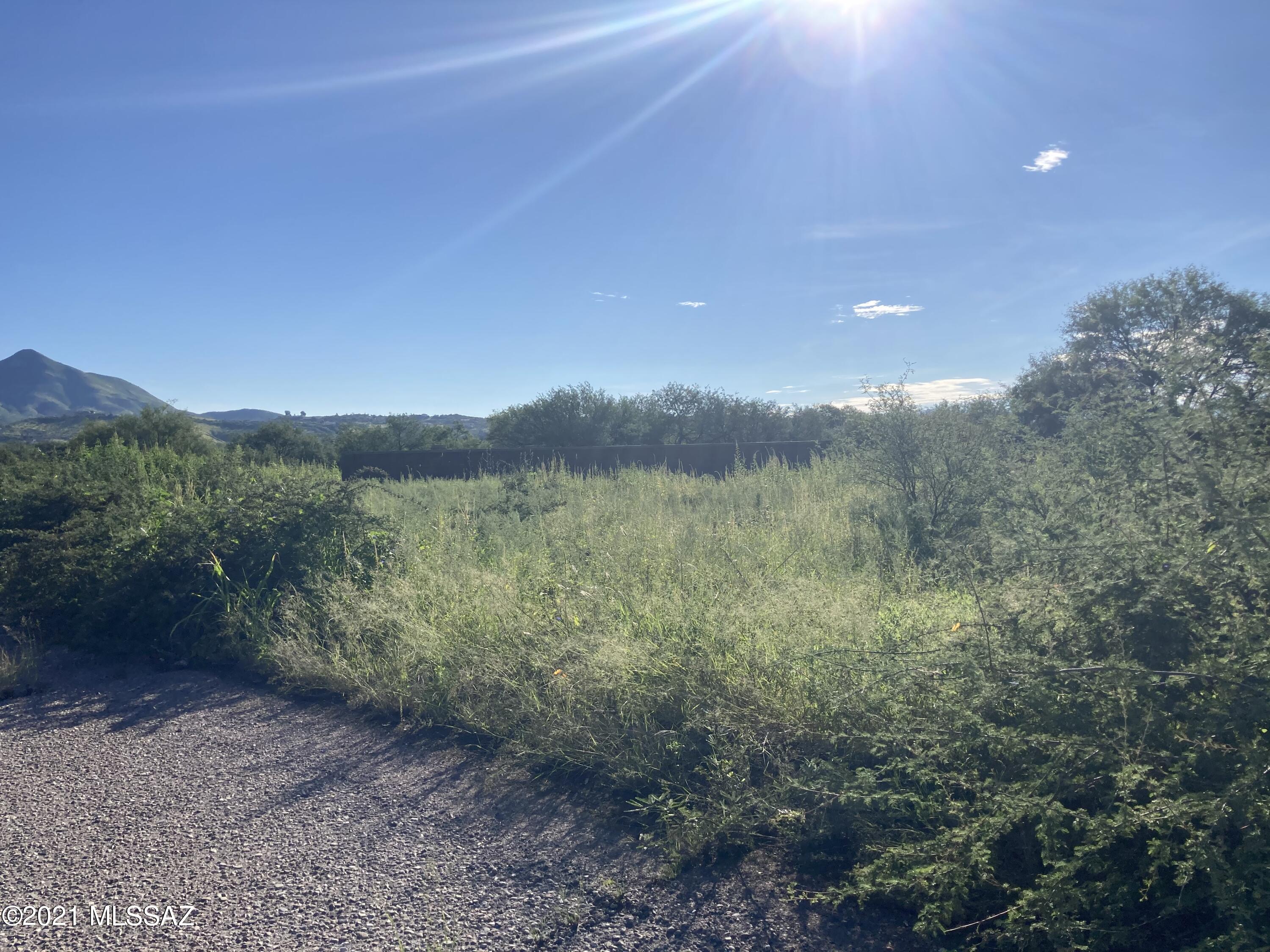 Rio Rico - Land