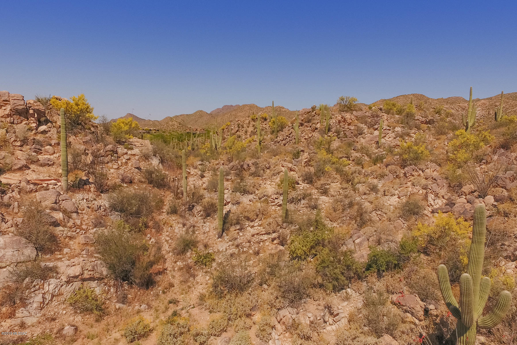 Stone Canyon II - Land