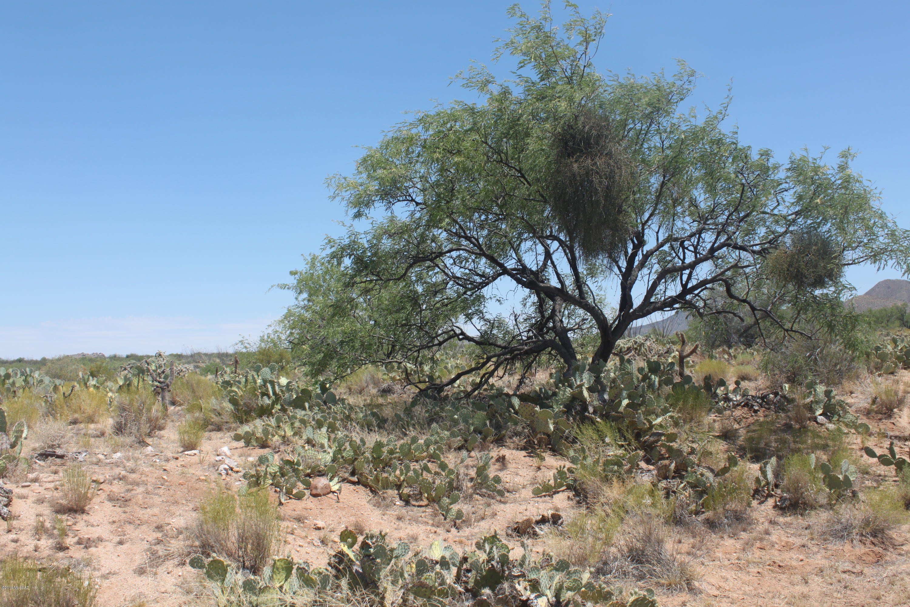 Diamond Bell Ranch - Tucson Unit 3 (1-409) - Land