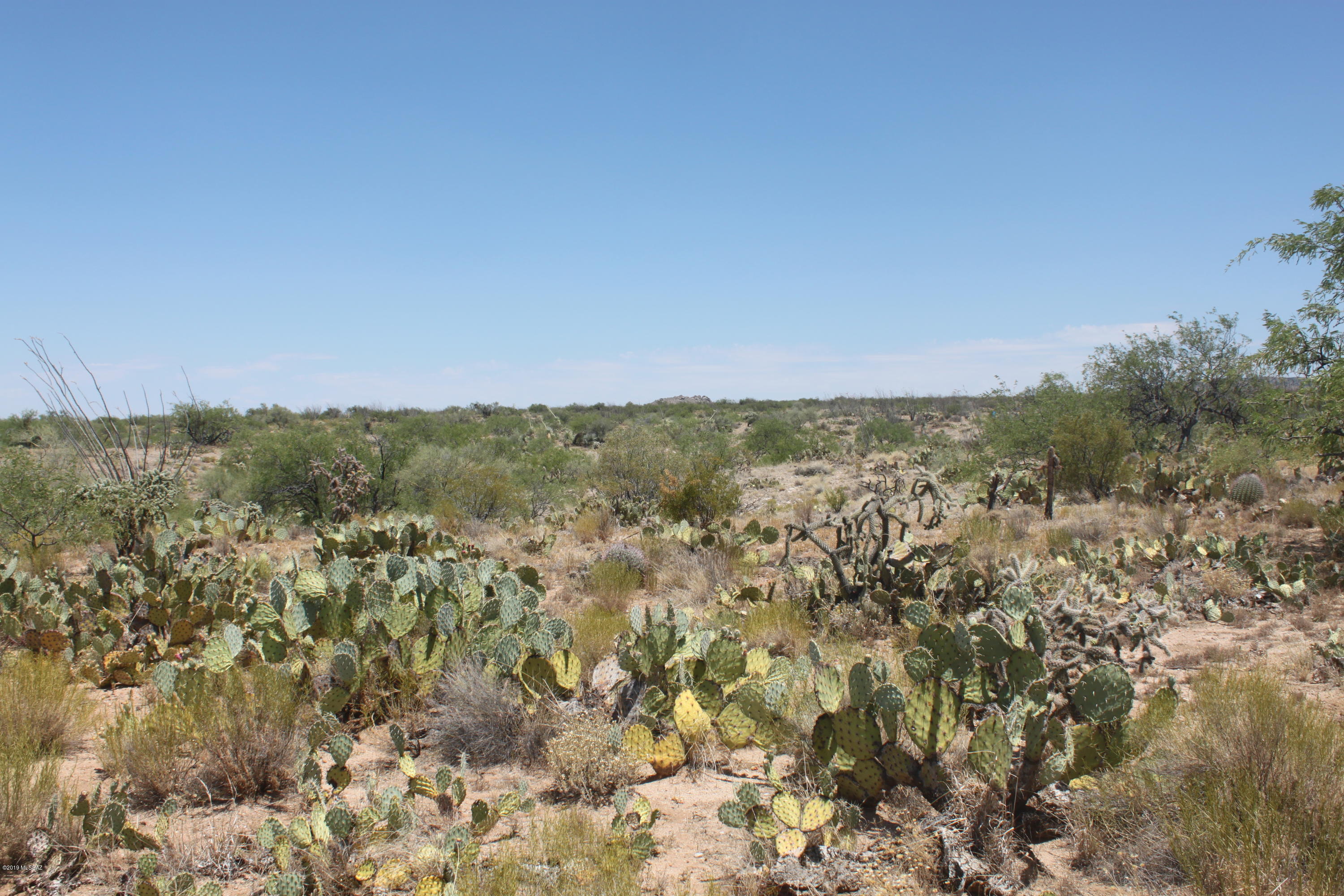 Diamond Bell Ranch - Tucson Unit 3 (1-409) - Land