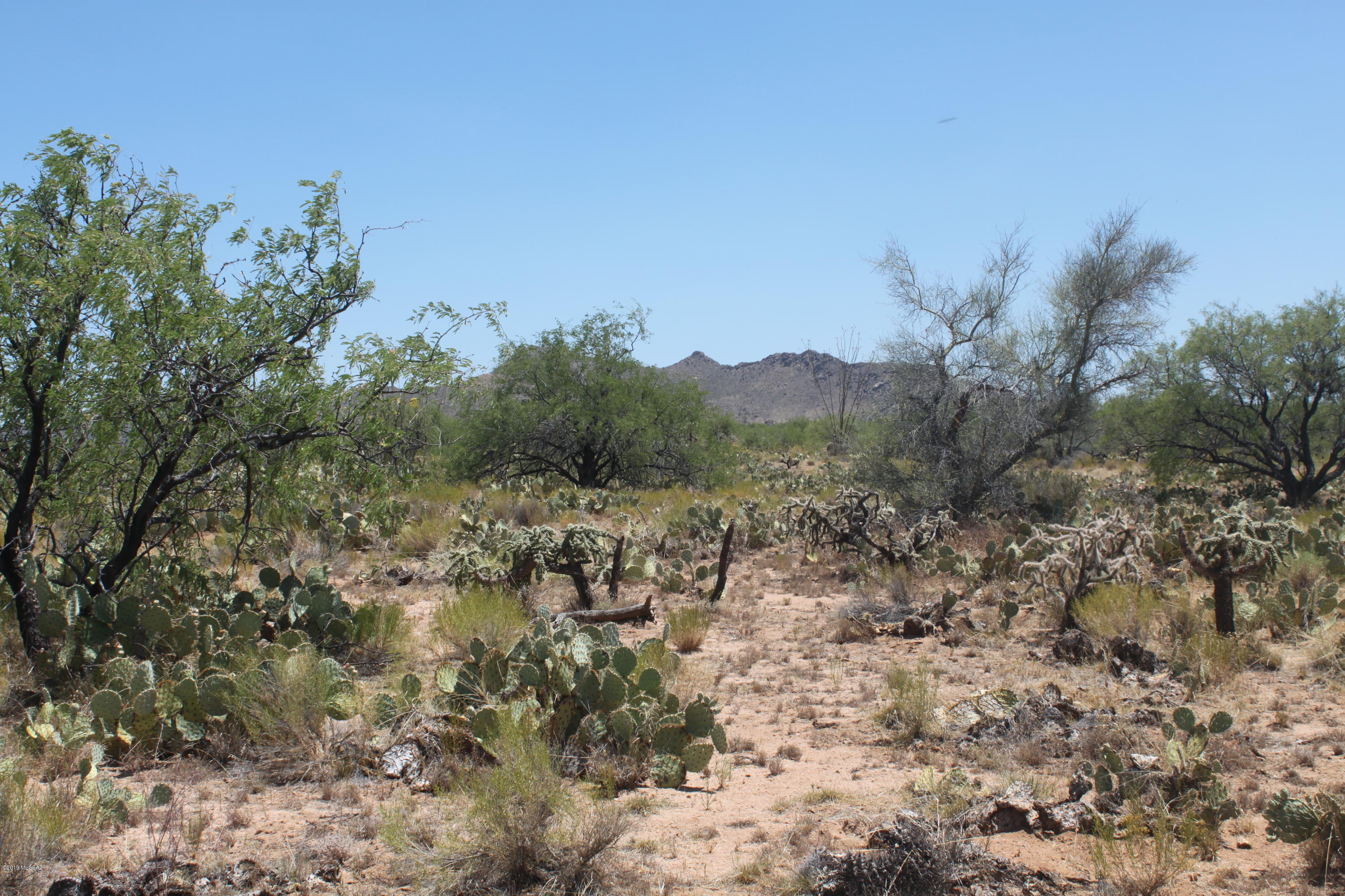 Diamond Bell Ranch - Tucson Unit 3 (1-409) - Land