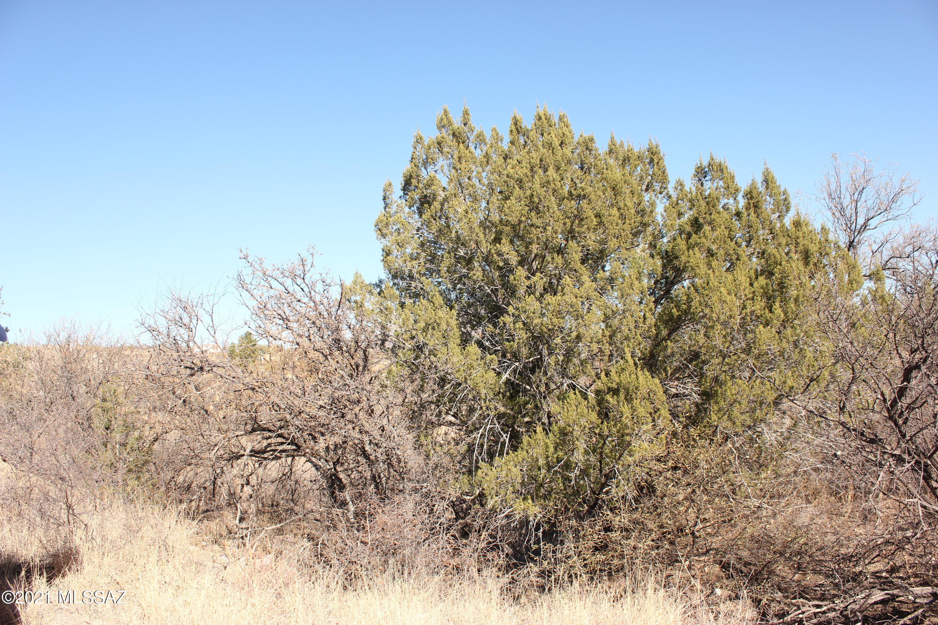 Rio Rico Estates 10 - Land