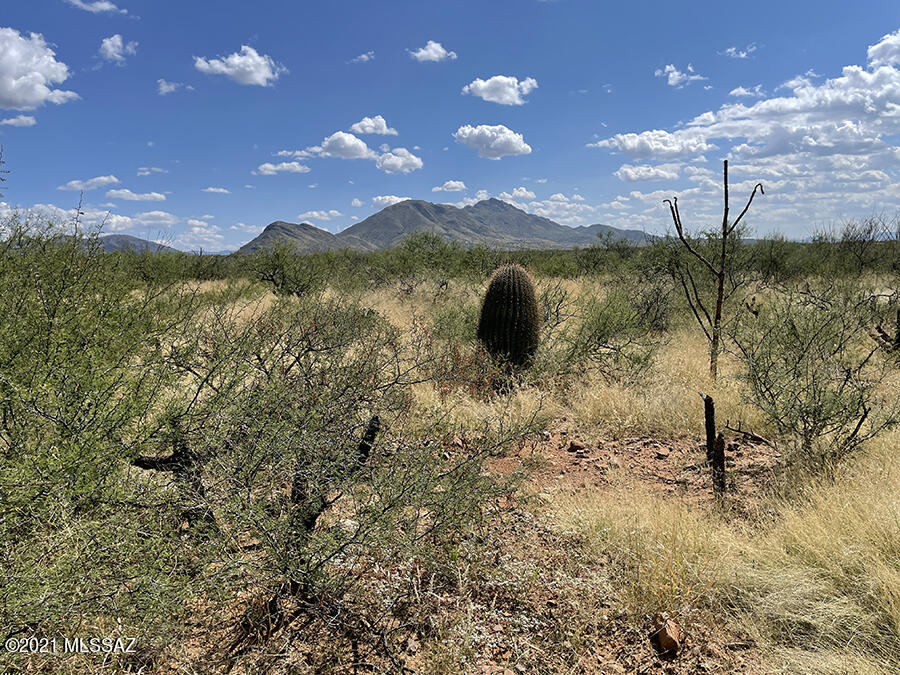 Tubac Foothills Ranch - Land