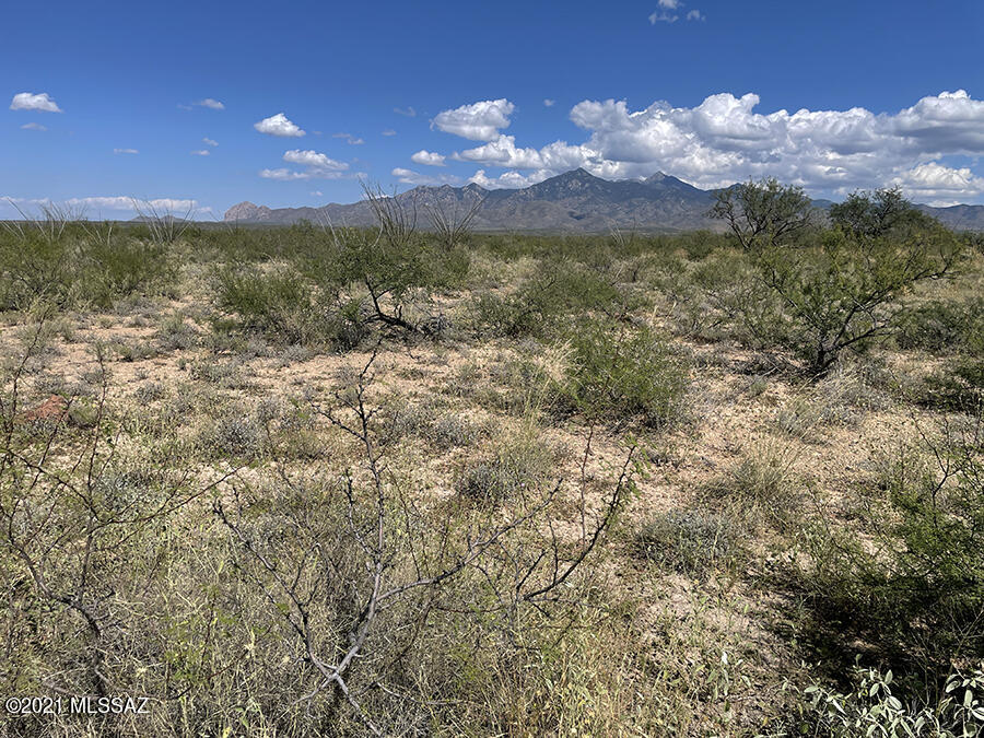 Tubac Foothills Ranch - Land