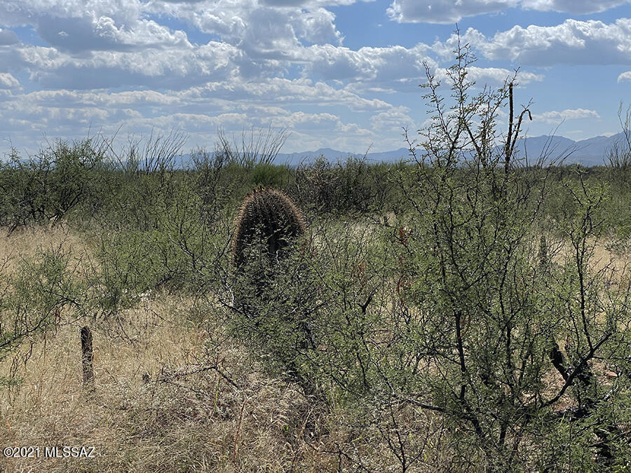 Tubac Foothills Ranch - Land