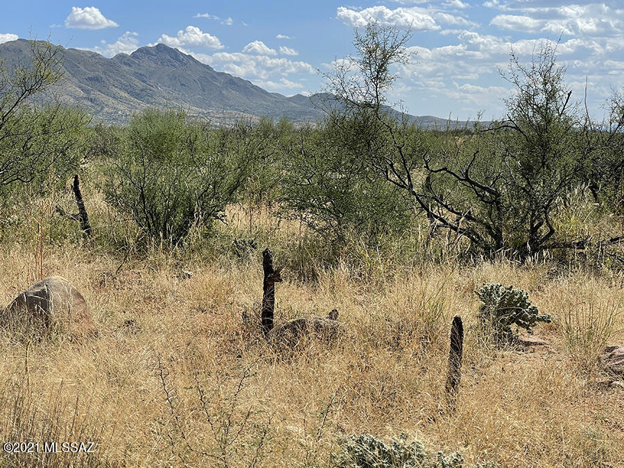 Tubac Foothills Ranch - Land