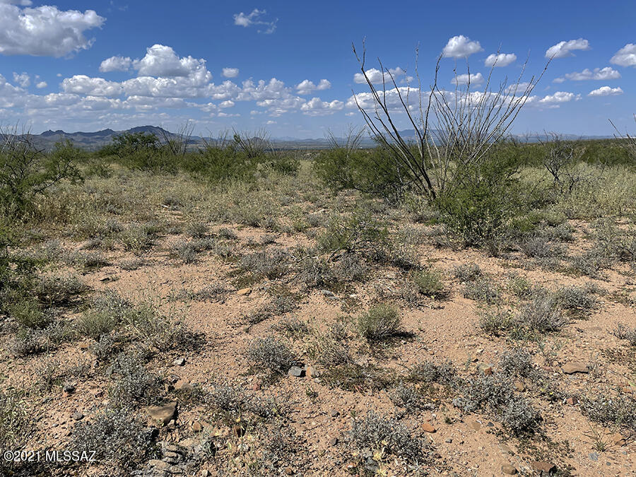 Tubac Foothills Ranch - Land
