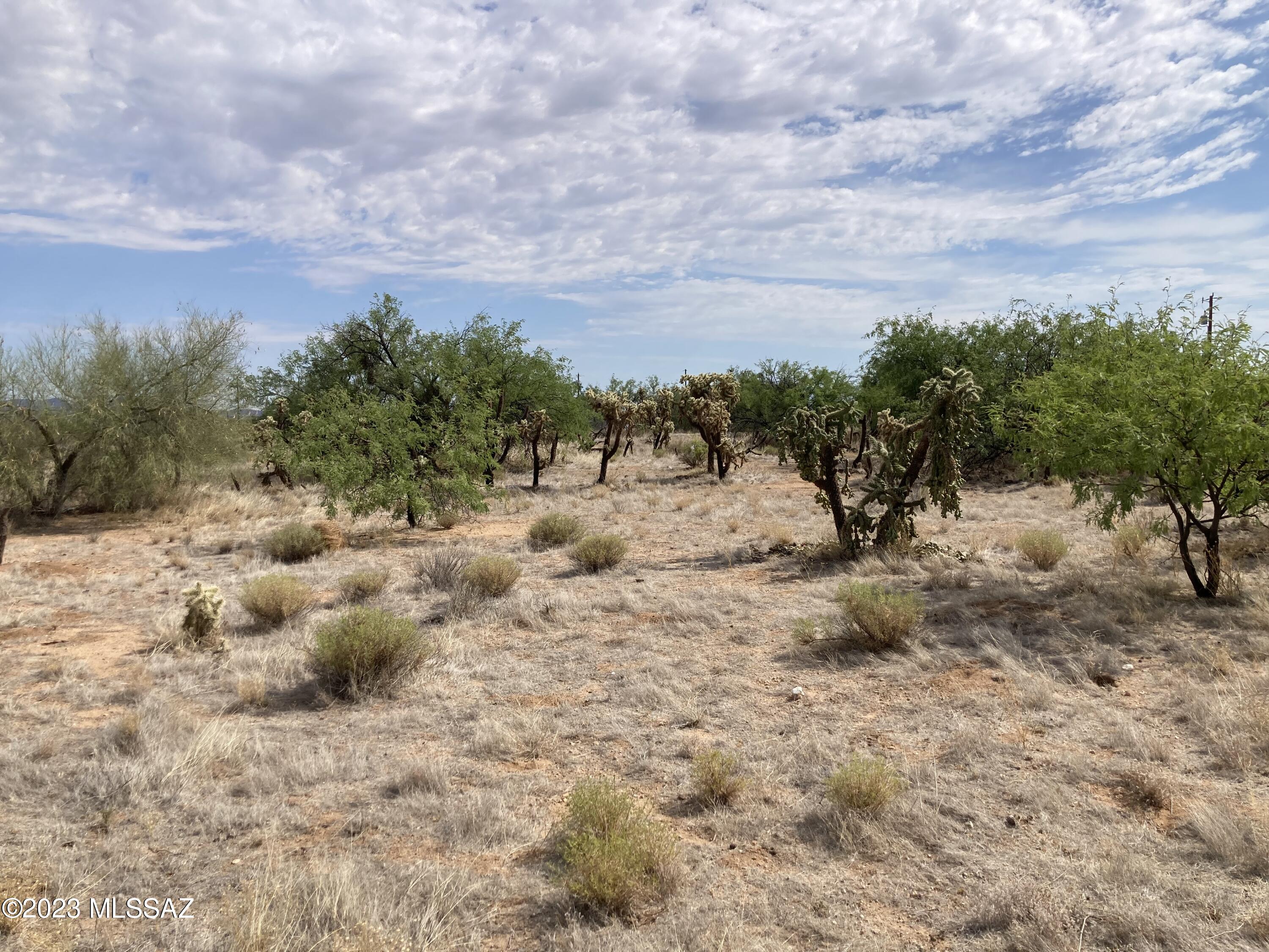 Diamond Bell Ranch Chaparral Unit (1-24, 26-228) - Land
