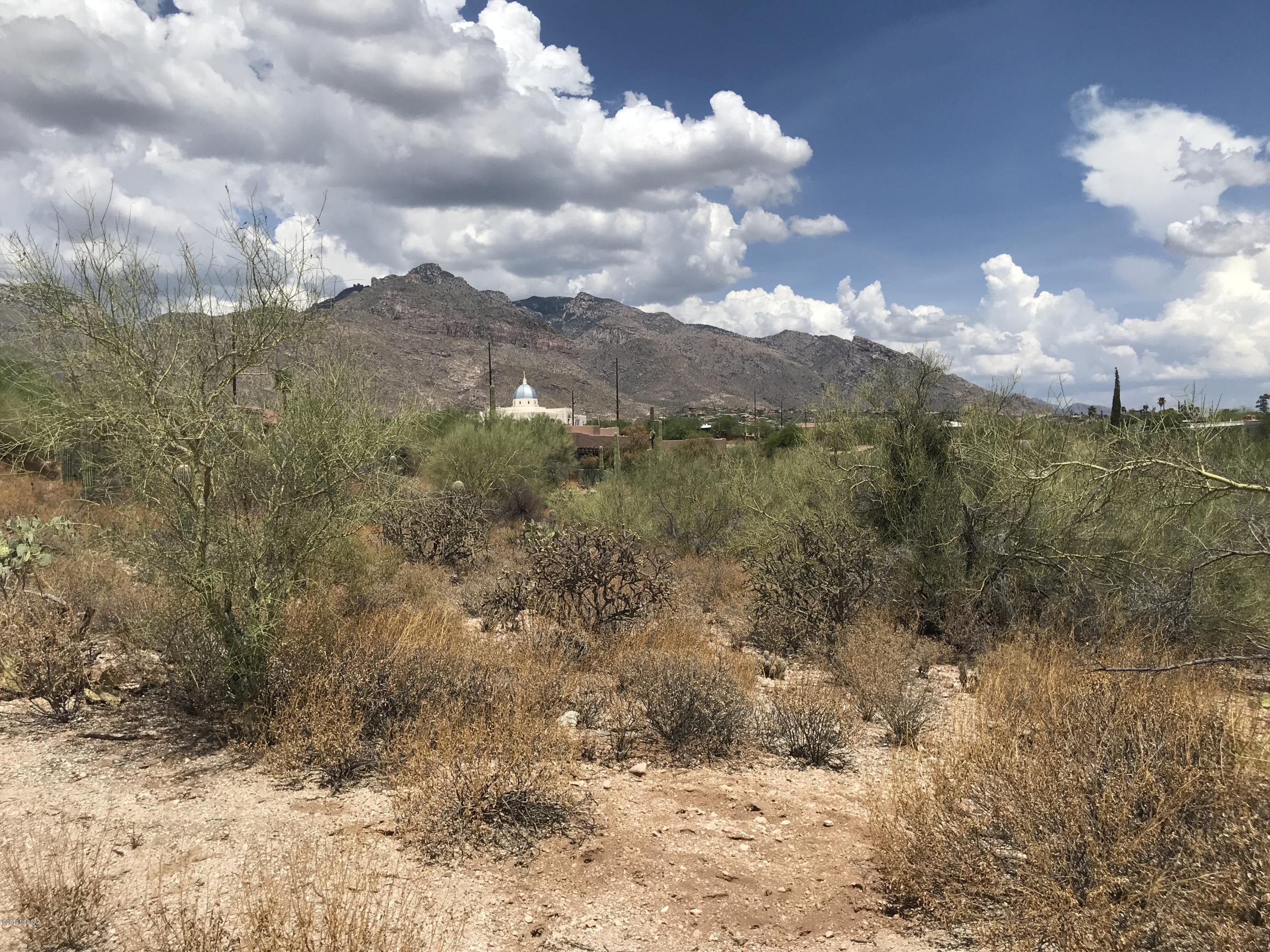 Build Your Dream Home Here! Unlimited potential for this 1.4 acres, complete with magnificent mountain and city views. Located in the highly desirable 85718, this is an ideal location. Private, yet close to all amenities, shopping & restaurants. No HOA and land has been surveyed to create access! Call co-listing agent for more details!