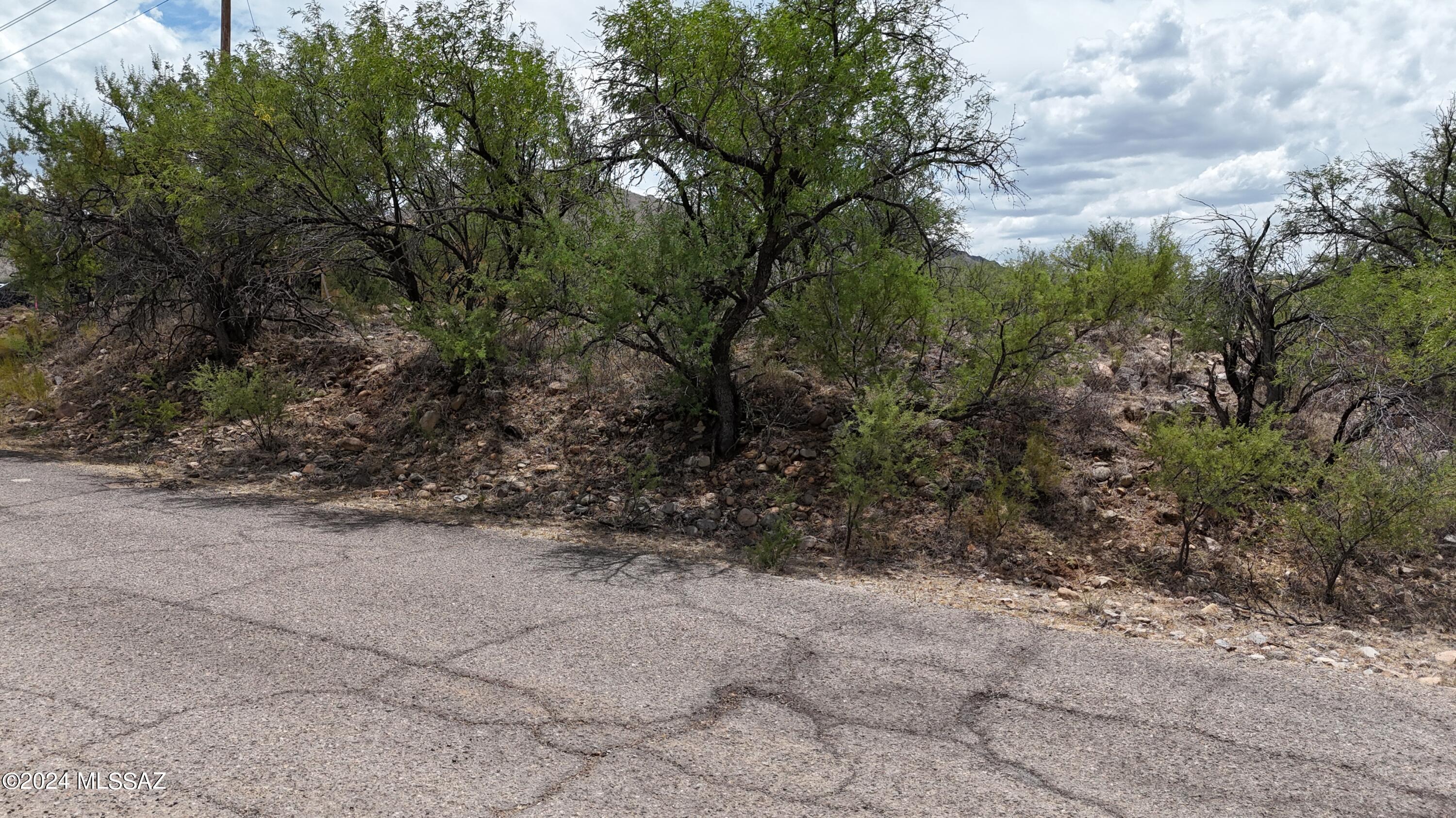 Rio Rico Estates 16 - Land