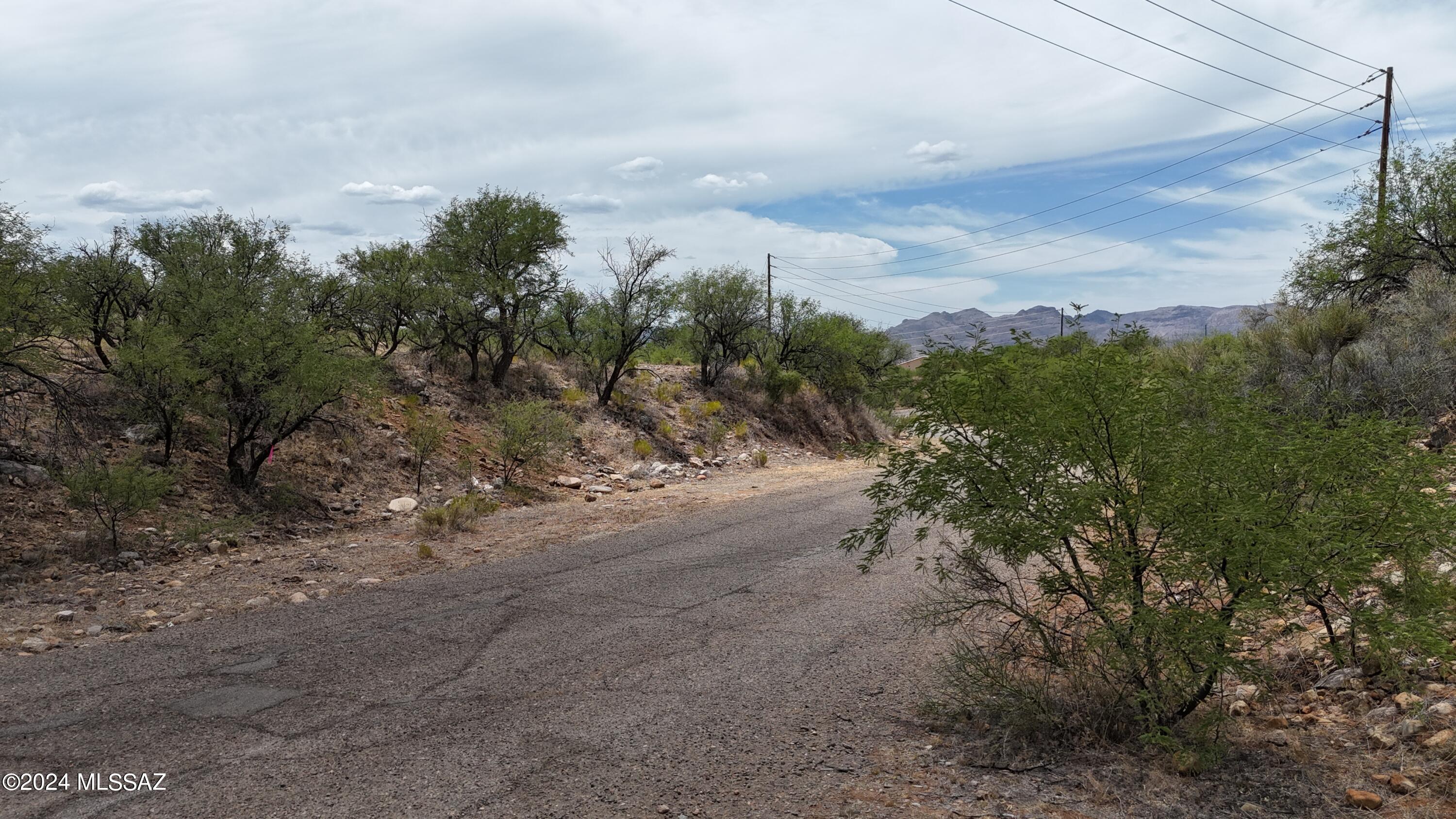Rio Rico Estates 16 - Land