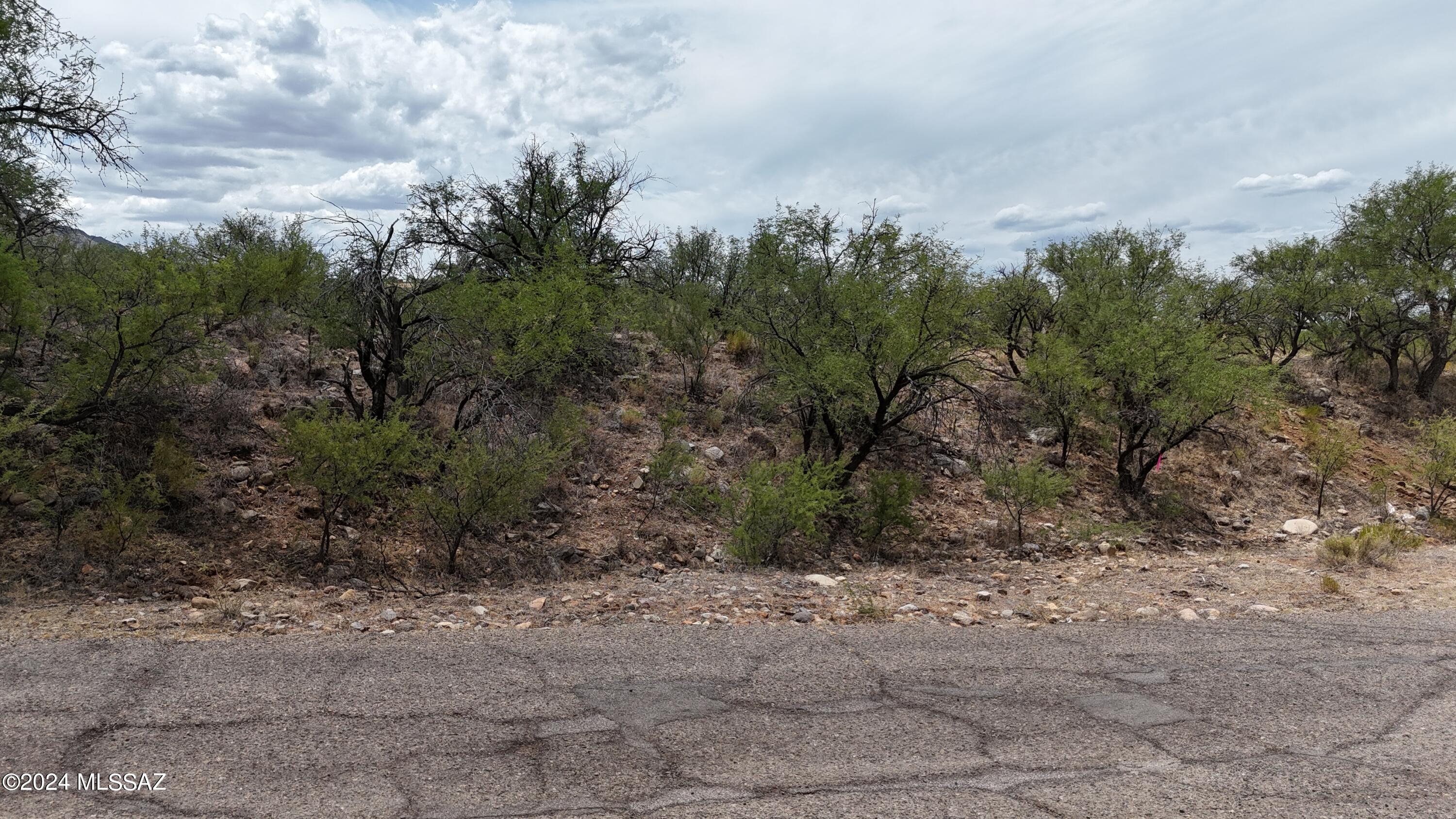 Rio Rico Estates 16 - Land